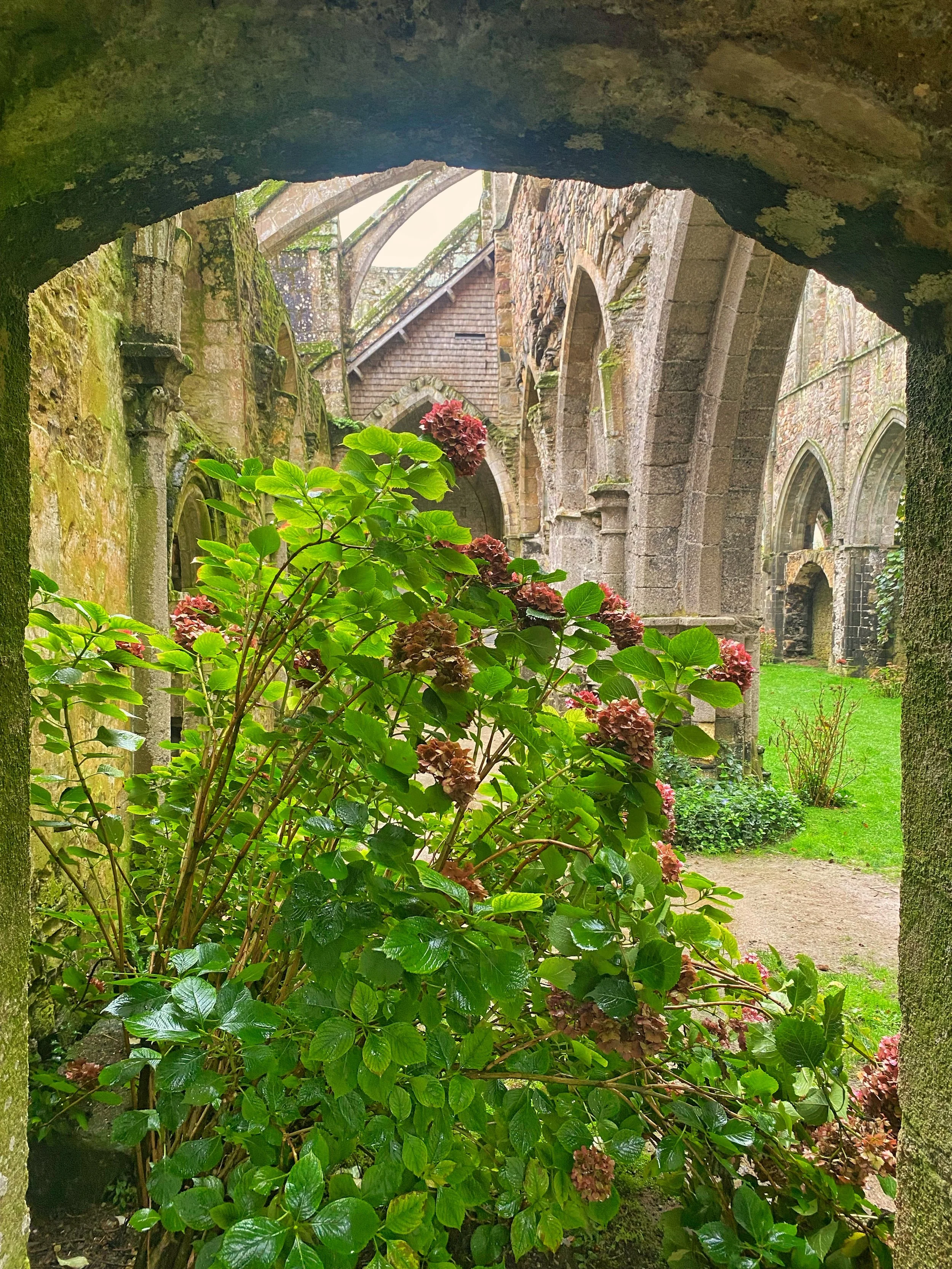 abbazia Beauport Bretagna