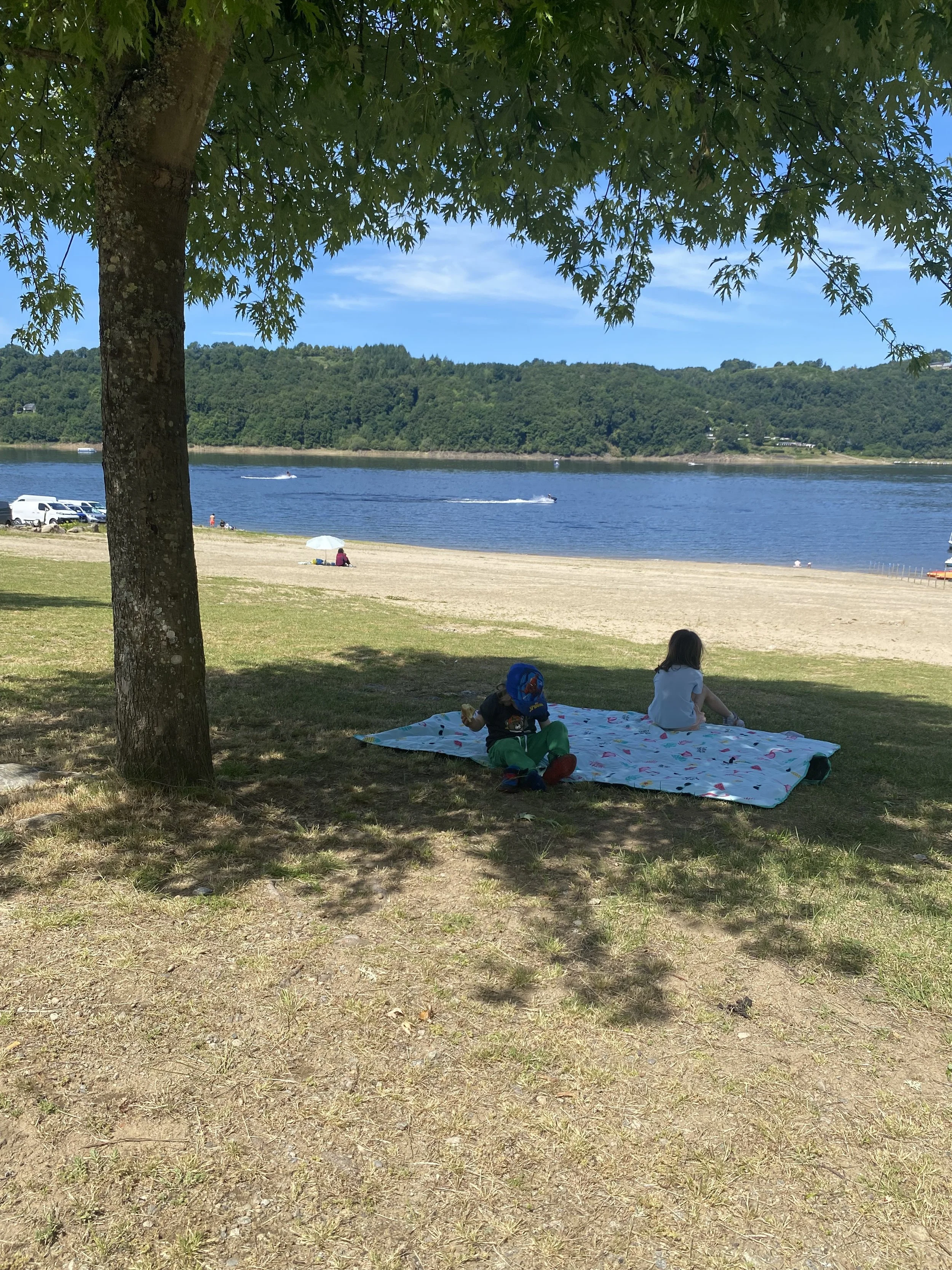 Picnic sul lago in famiglia