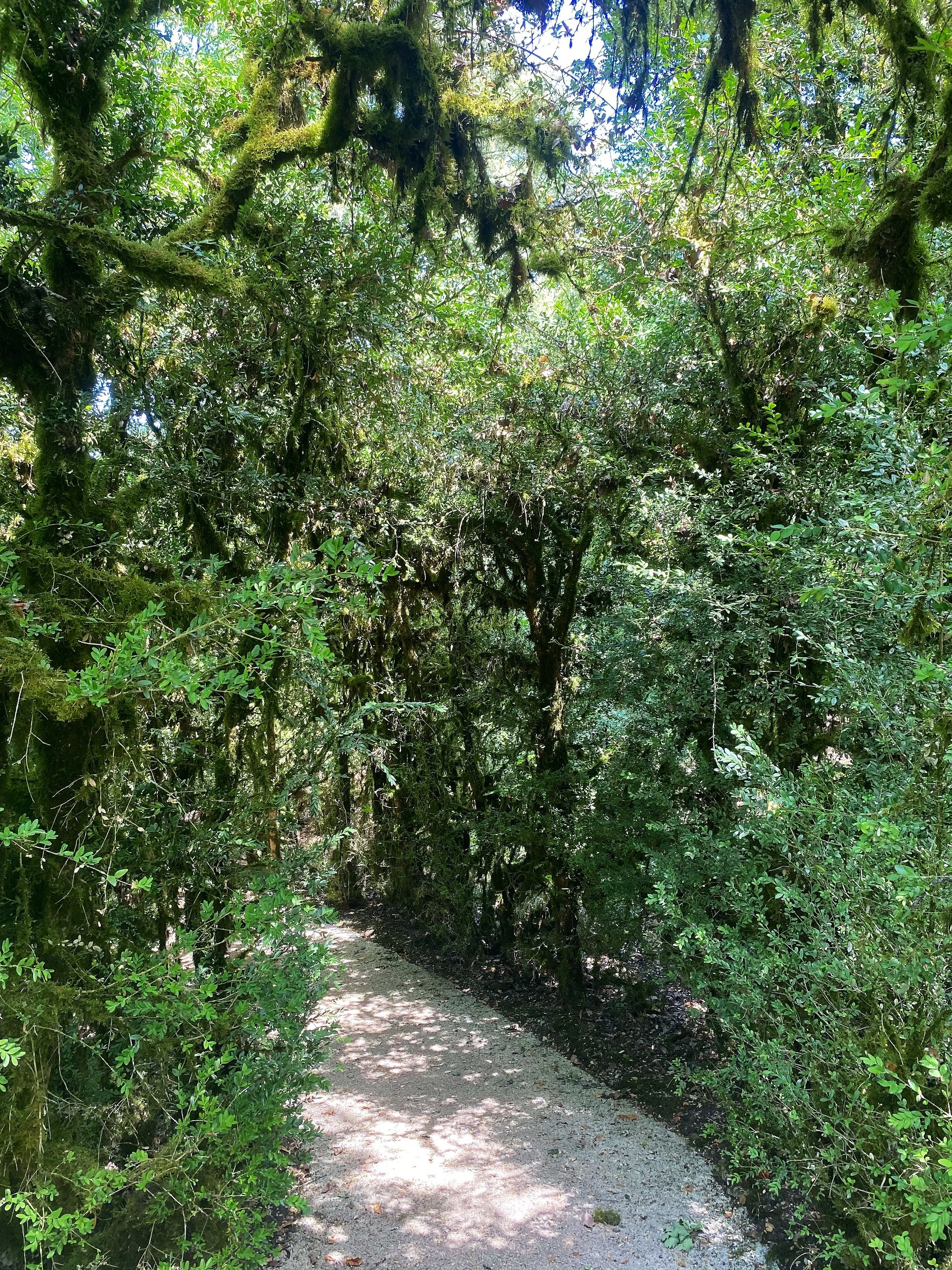 tunnel sentiero giardini dordogna