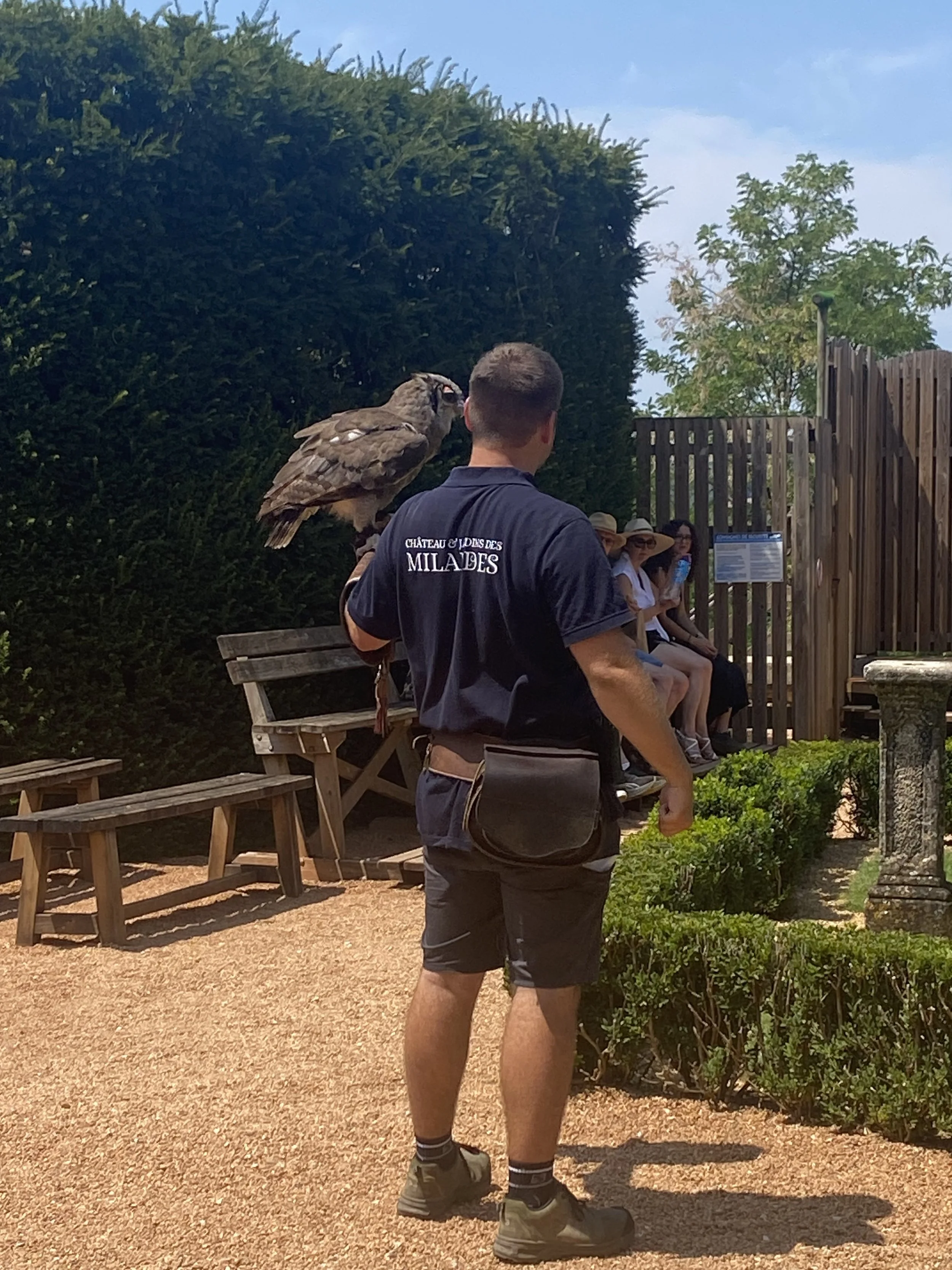 falconiere