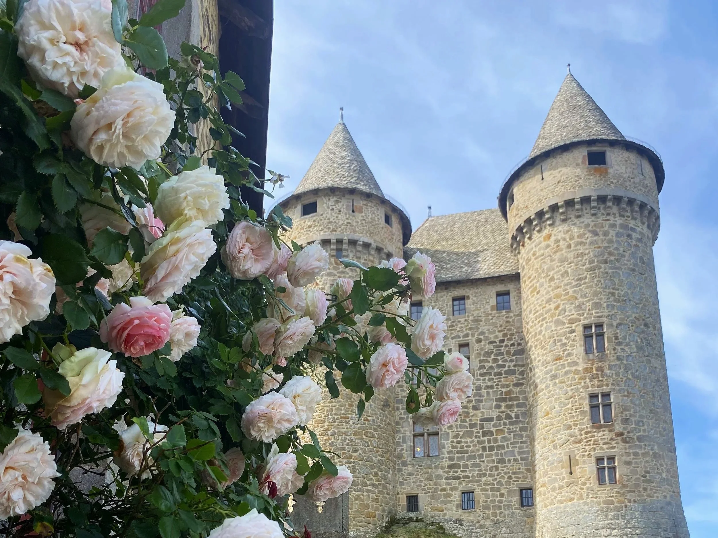 chateau france