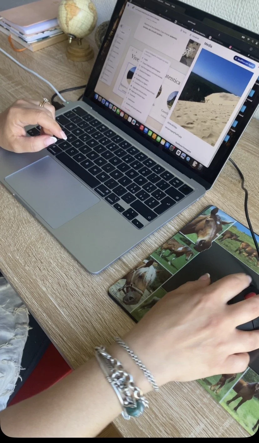 travel designer