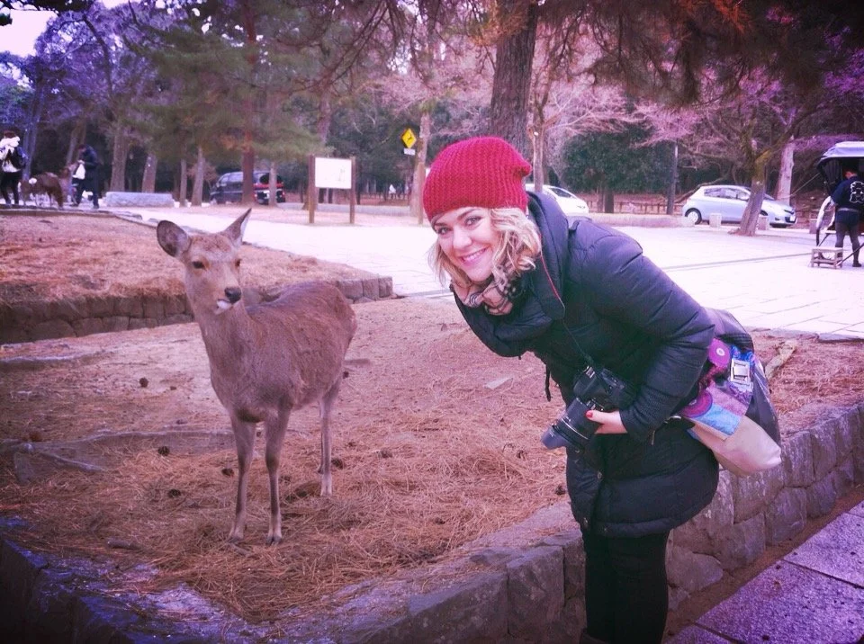 miyajima Giappone cervi