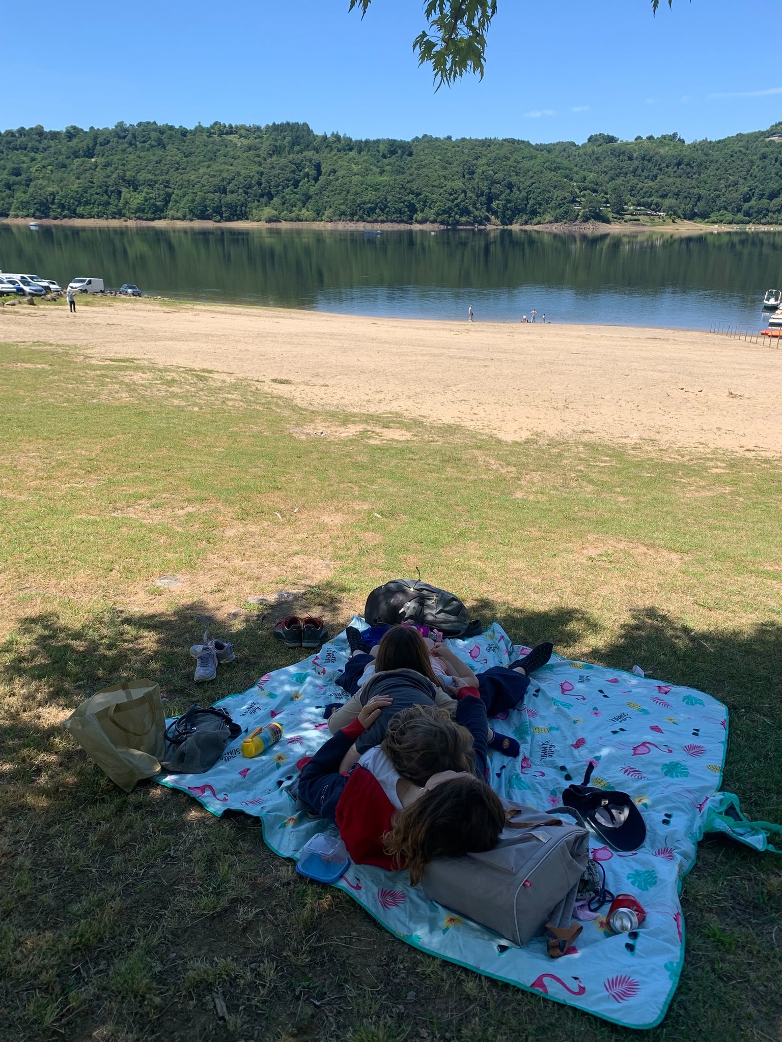 picnic al lago