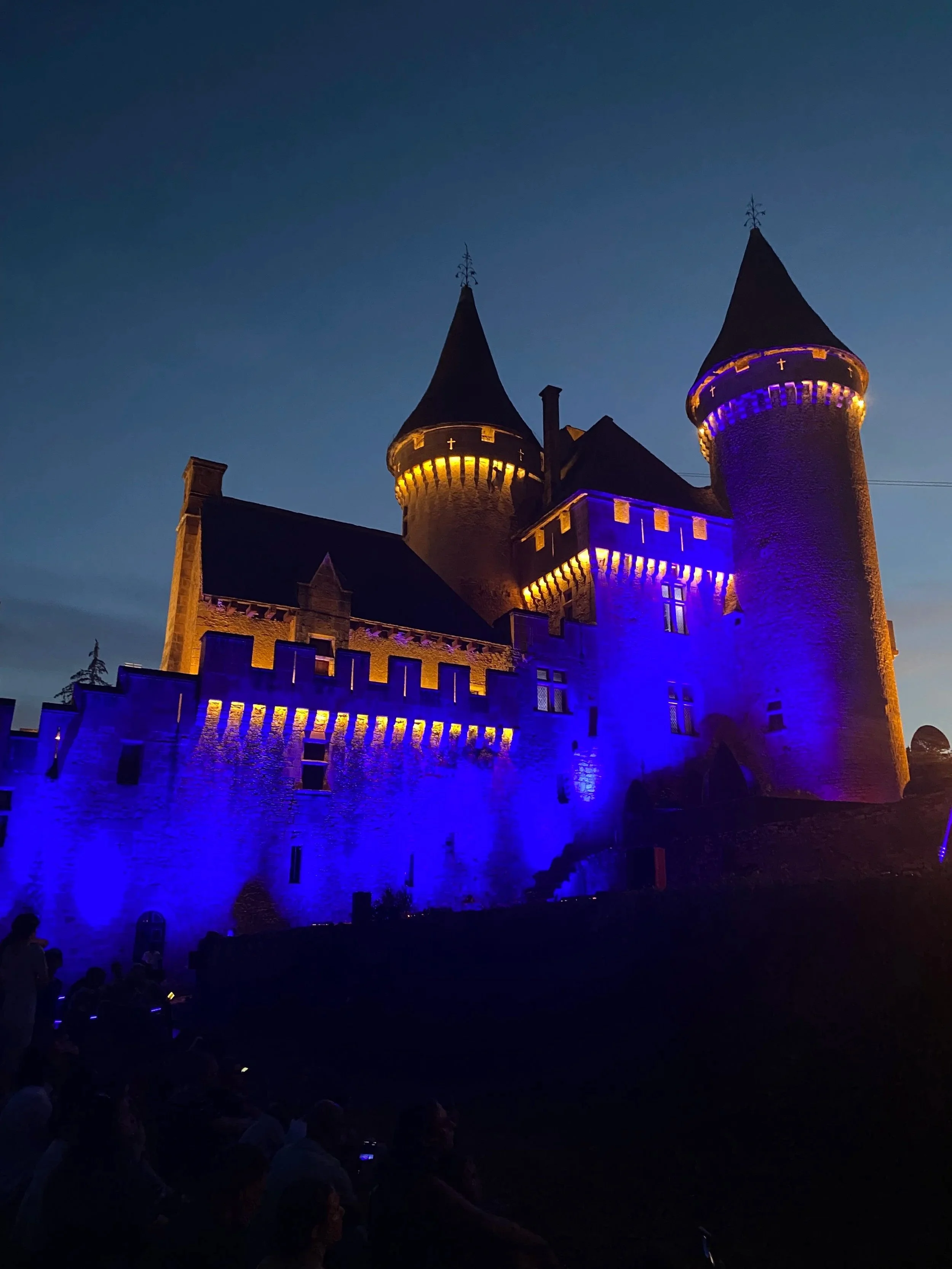 chateau Puymartin