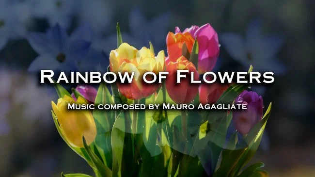 G03. Rainbow of Flowers