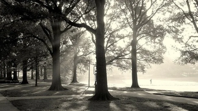 D04. Toy Piano Sanctuary