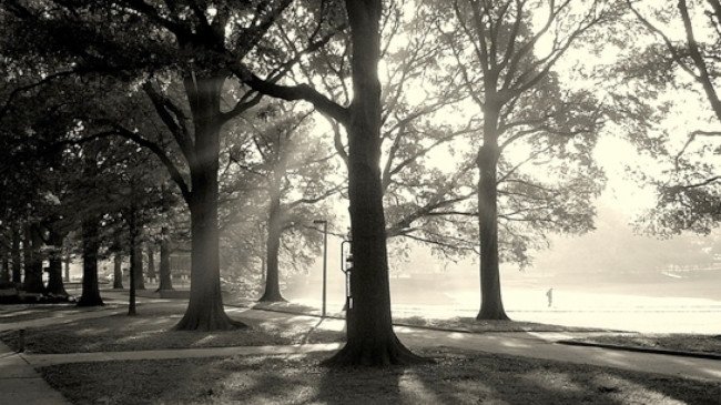 Mauro Agagliate - "It's early morning at Valencia College" - Suite dedicata alla strage di Orlando / Suite dedicated to the Orlando shooting.