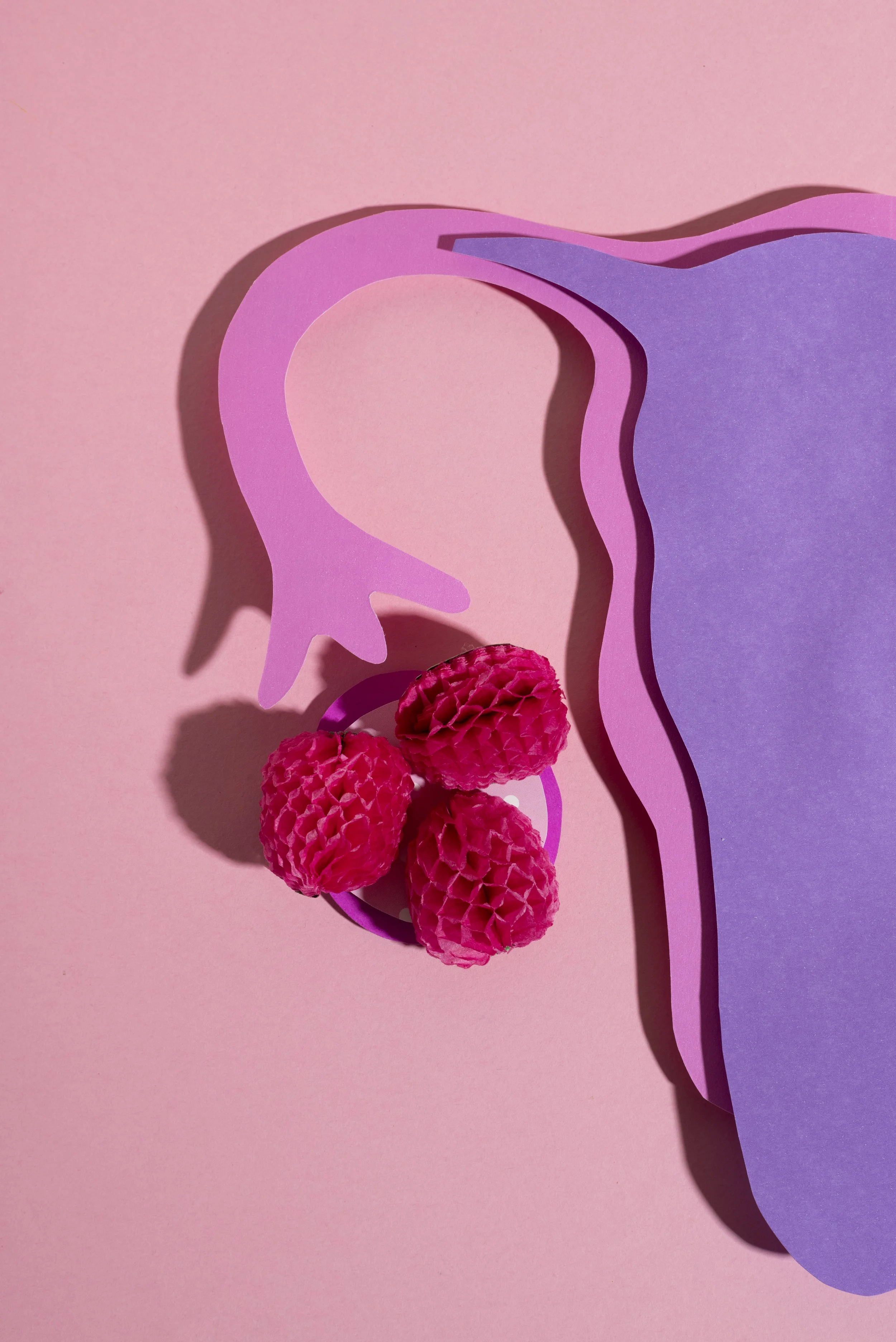 Treatments for Uterine Fibroids and Endometriosis: Exploring Your Options