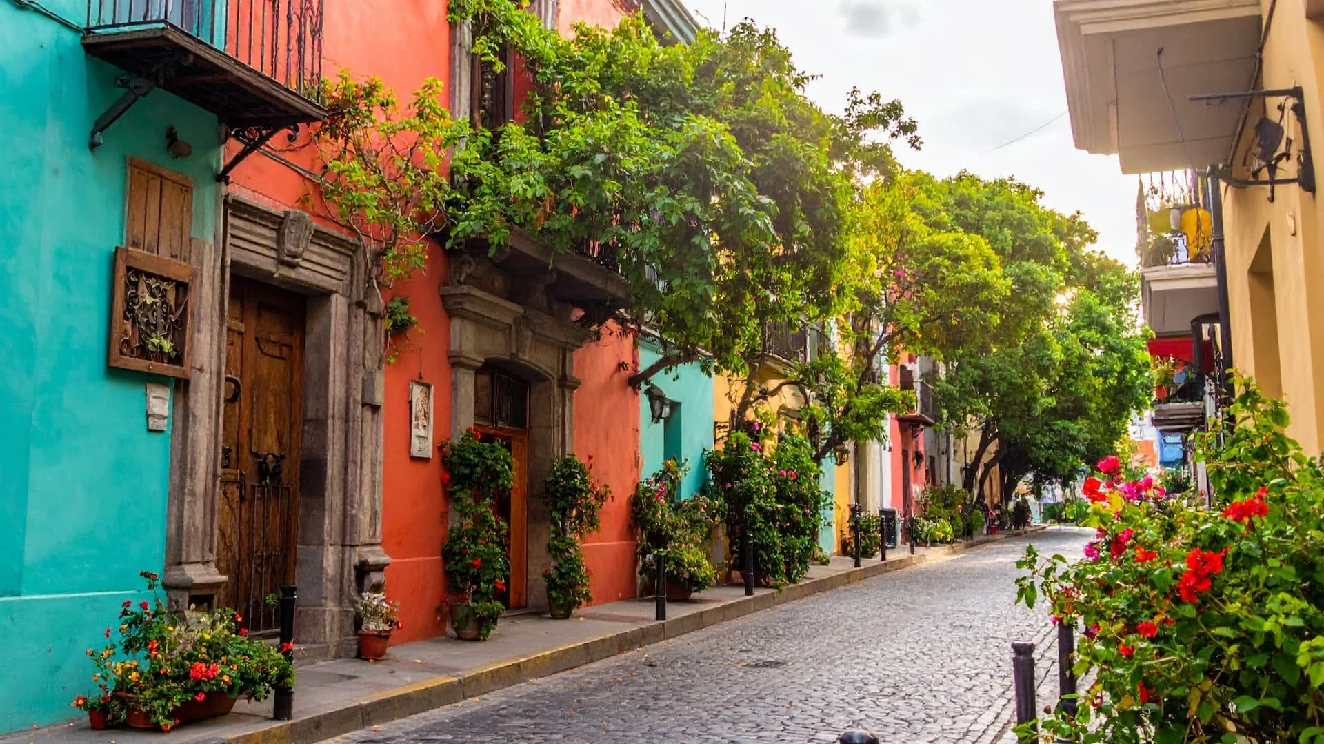 Take quiet and calm strolls through the neighborhoods of Condesa, Roma Norte, and Polanco.