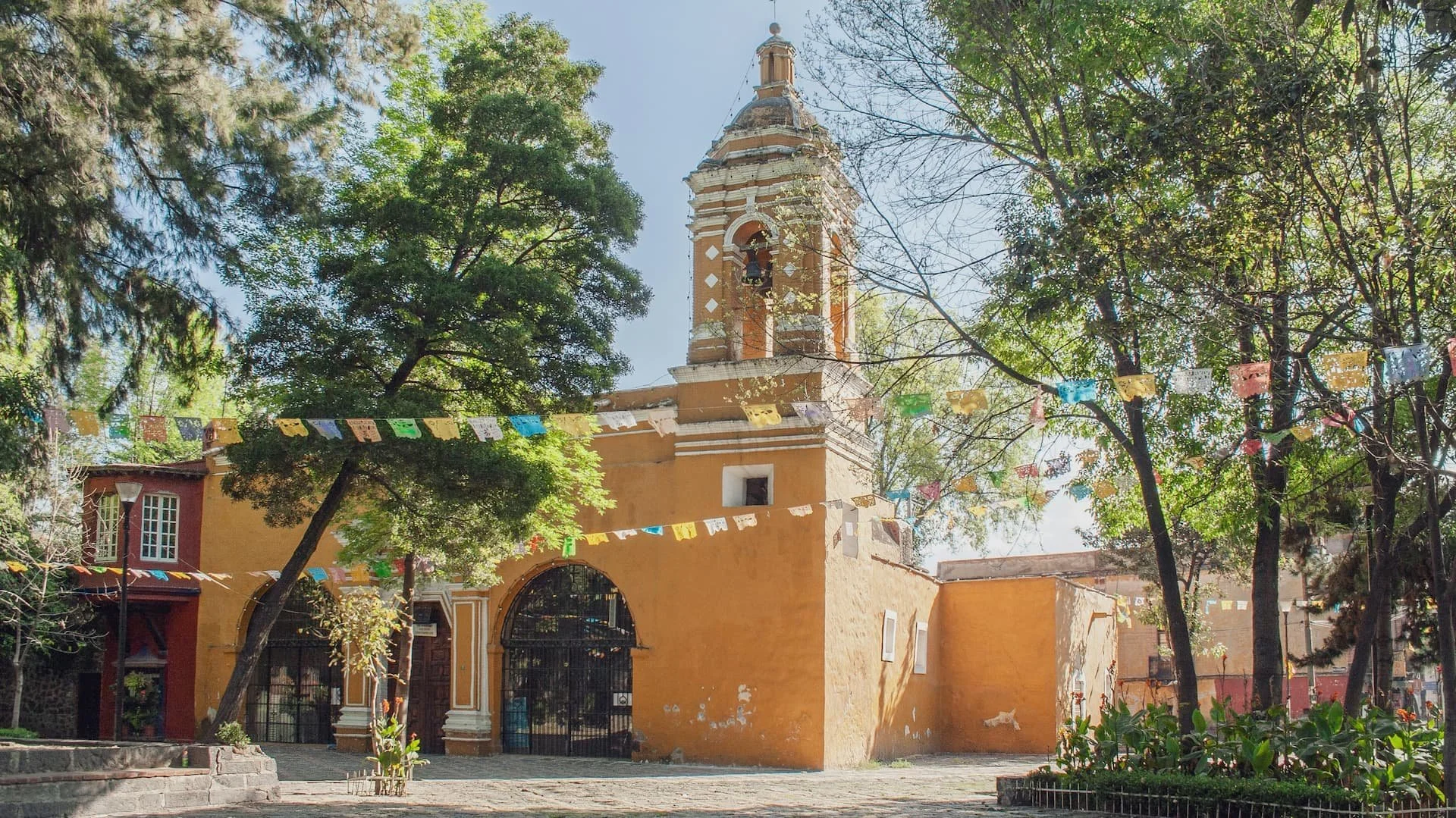 Take in the beautiful scenery that Mexico City has to offer.