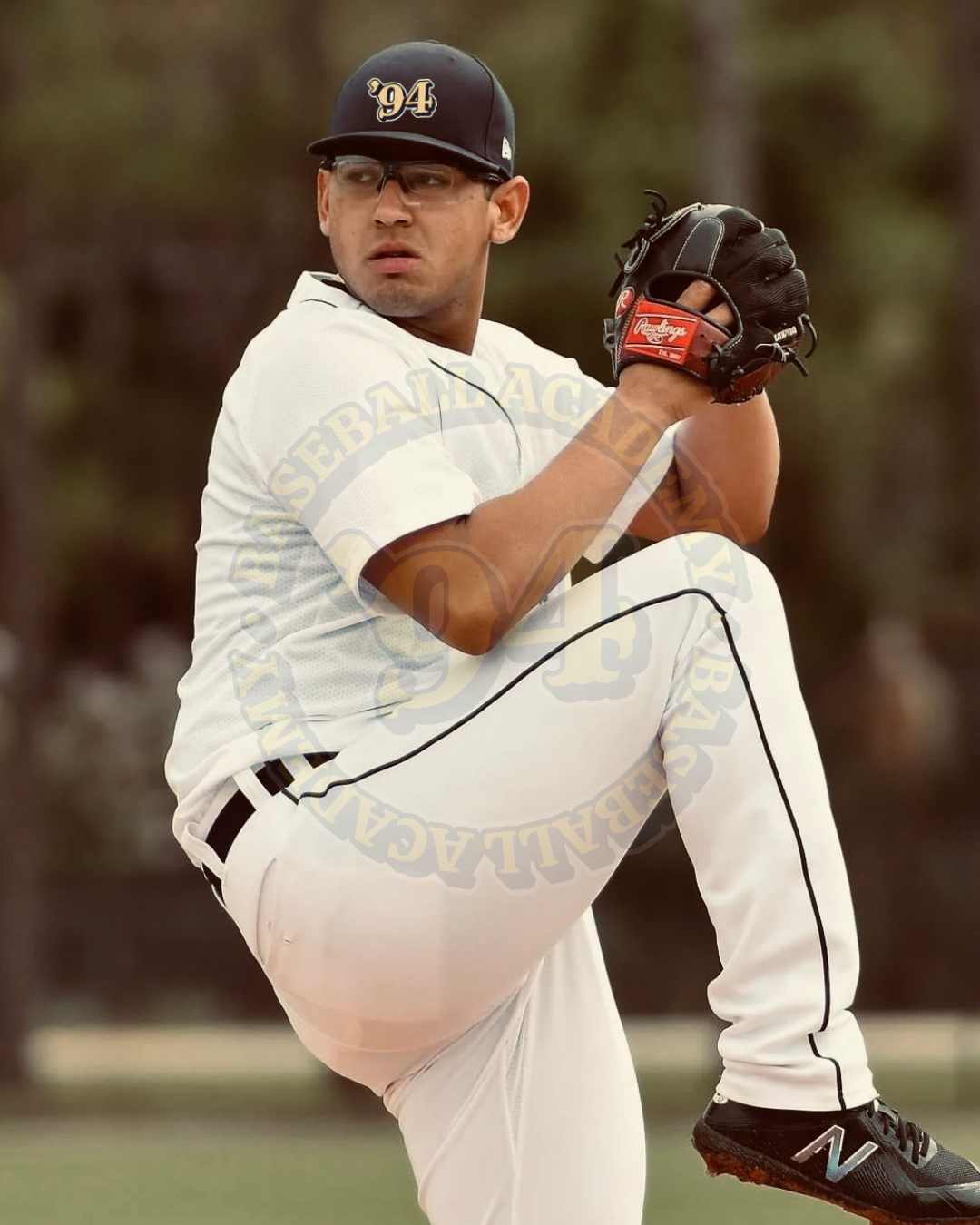 1994 ARM DEVELOPMENT PRAGRAM