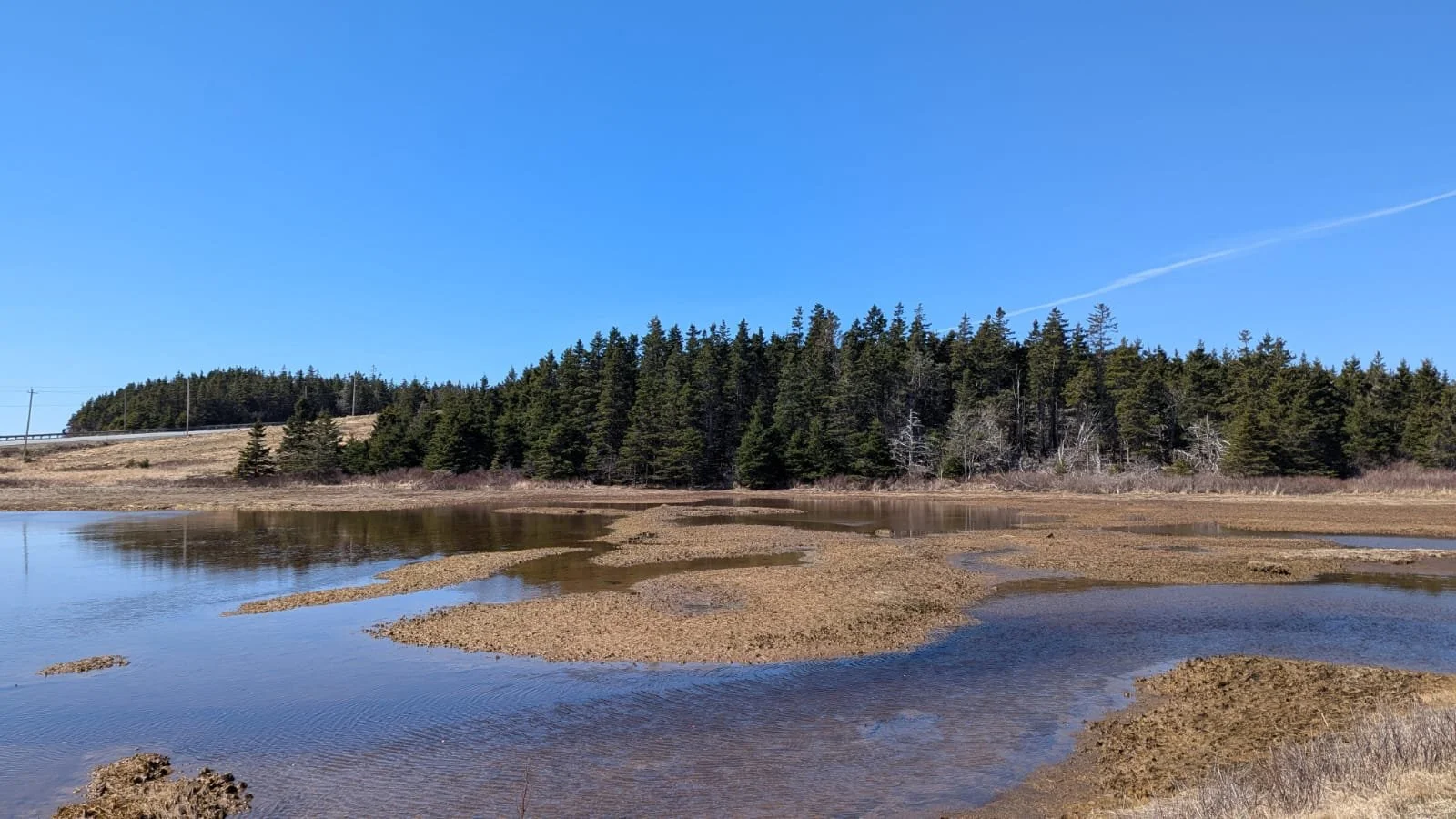 Blue Carbon Baseline – Phase  1