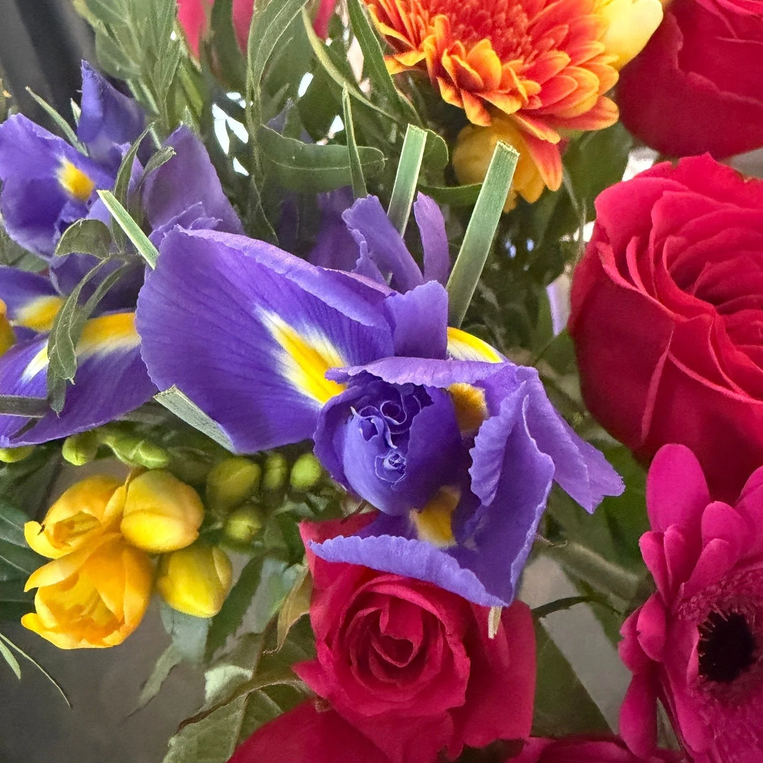 Feeling incredibly grateful to have been part of bringing @aimconsultancyltd  to life 💫

From the very beginning, it&rsquo;s been such a special process working with @domini.choudhury &mdash;taking her ideas and shaping them into a full brand, captu