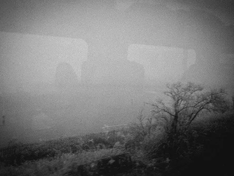 A foggy landscape with a tree and distant hillside