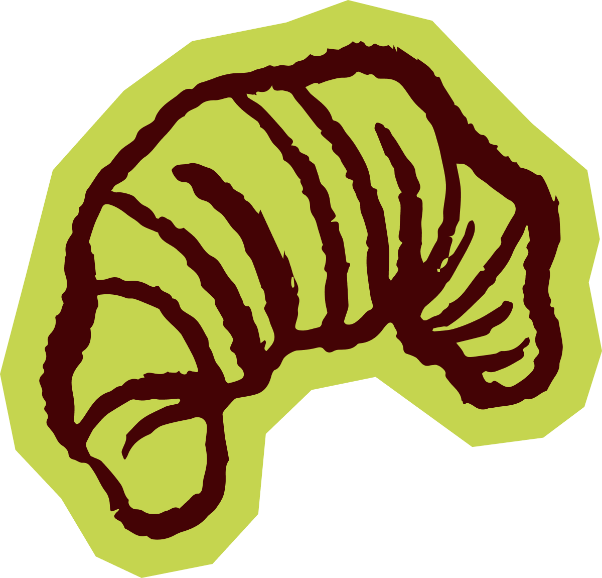 Illustration of a sliced green kiwi fruit showing its brown seeds and internal structure.