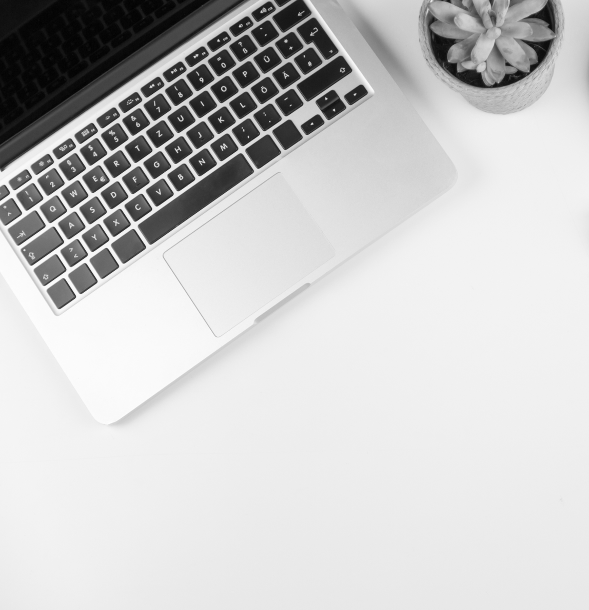 Brand Strategy & Commercial Positioning Package