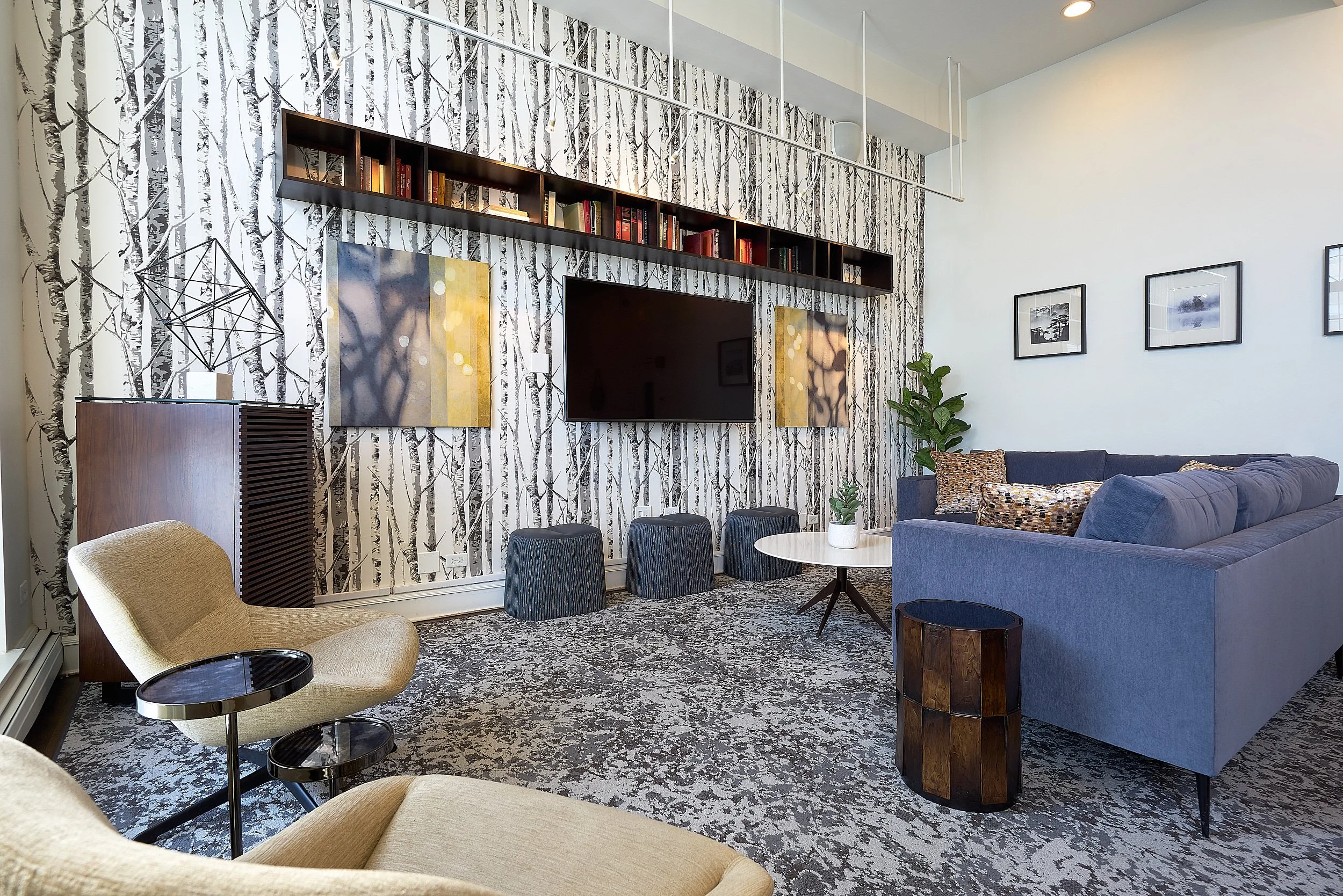condo-chicago-design-multifamily-hgihrise-modern-commericagl-interior-architectural-photography-marcelpage.jpg 15.jpg