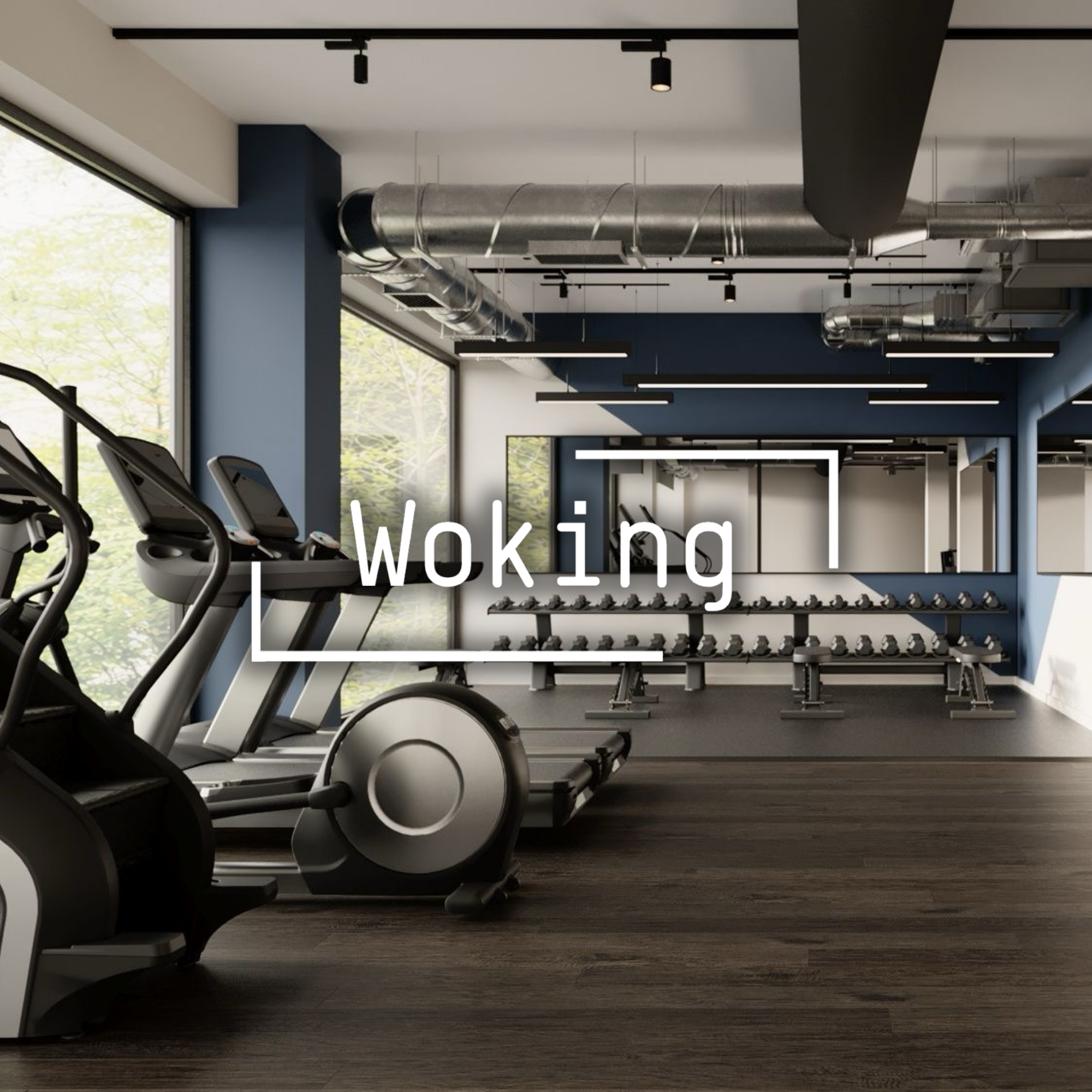 Fitness Space Woking