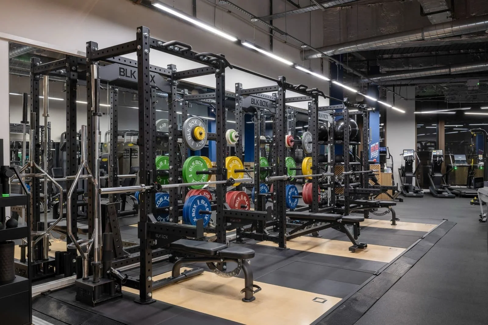 Rigs and squat racks at Woking gym