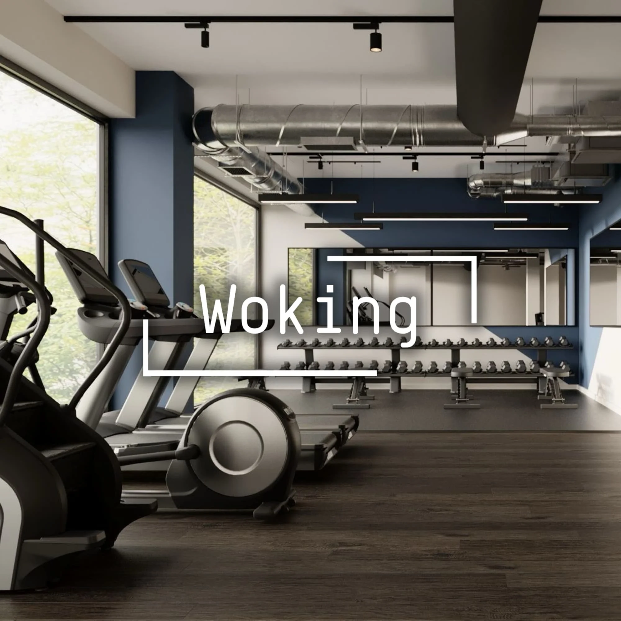Fitness Space Woking