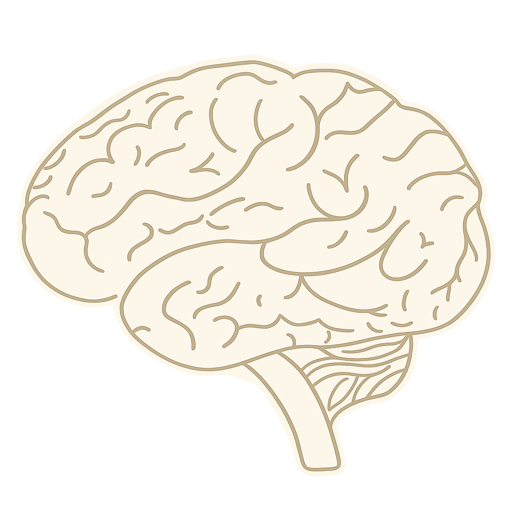 Line drawing of a human brain in beige color with darker lines outlining the structure.