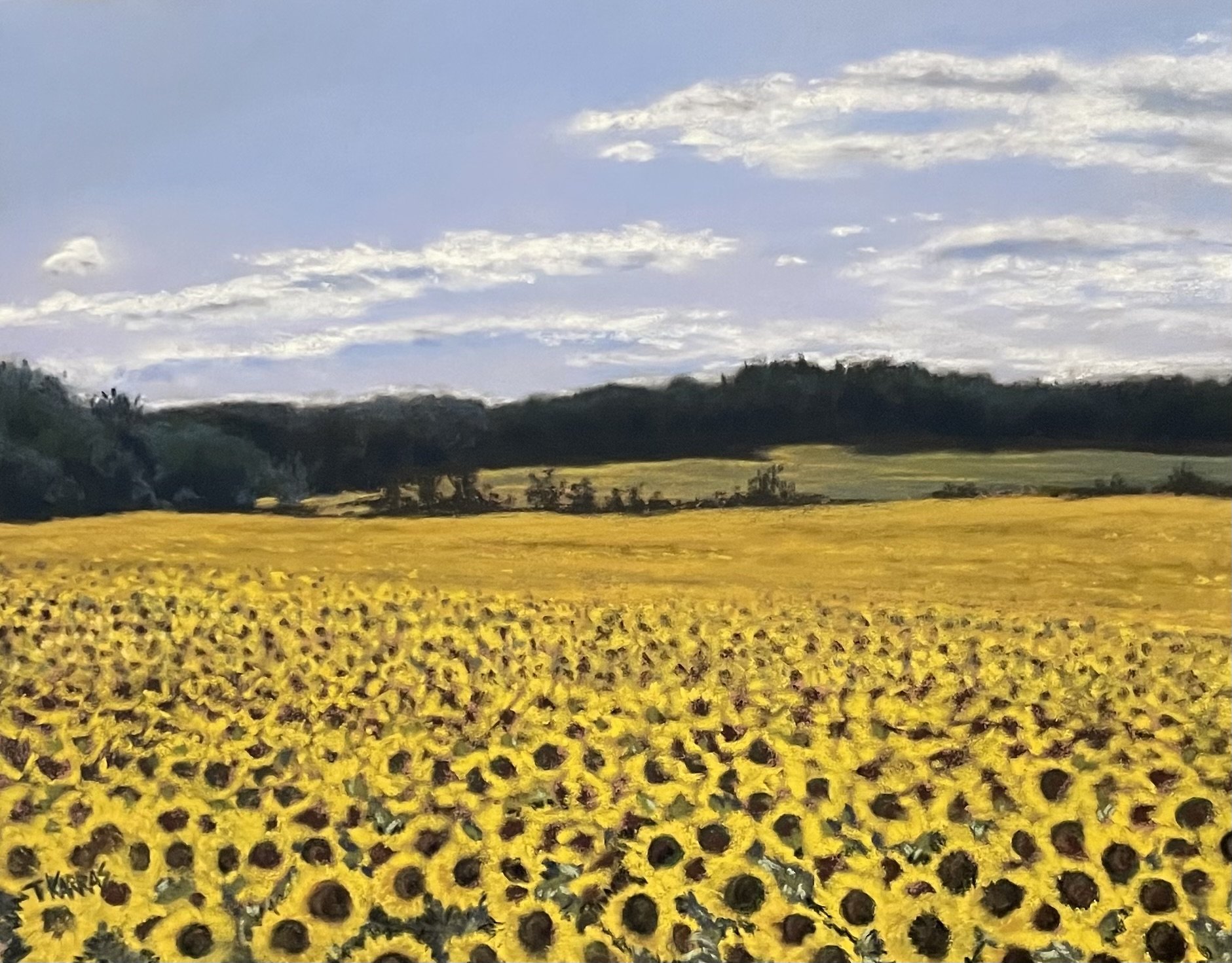 Sopa Farms 9x12 $375