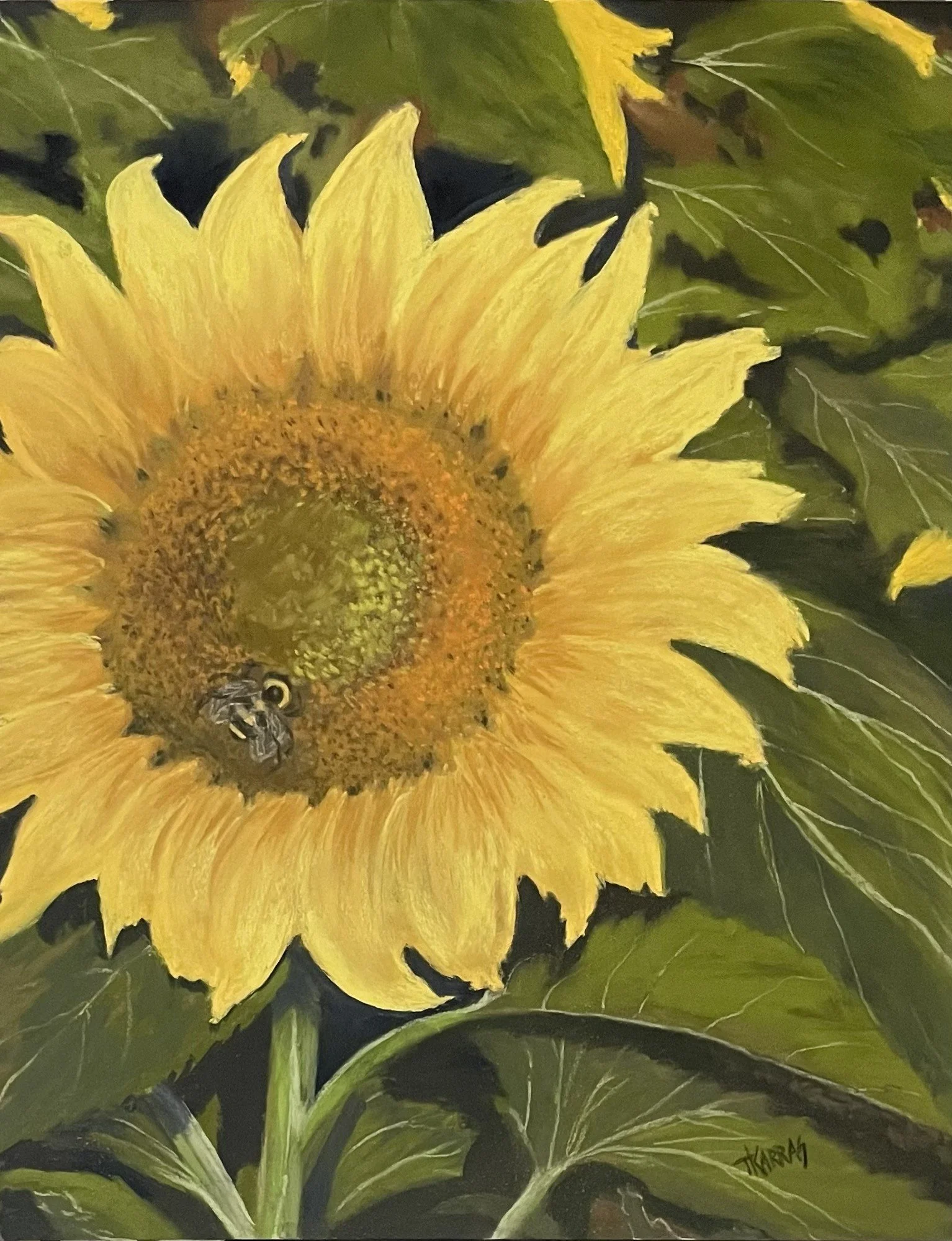 Sunflower 9x12 $350