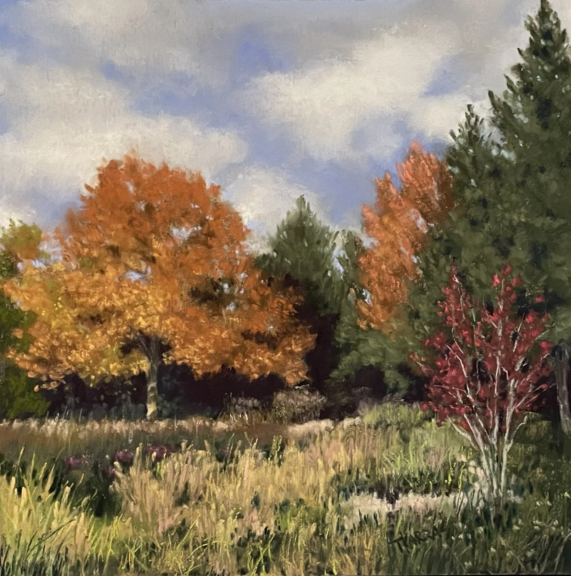 Kathryn Albertson Park 8x8 $175