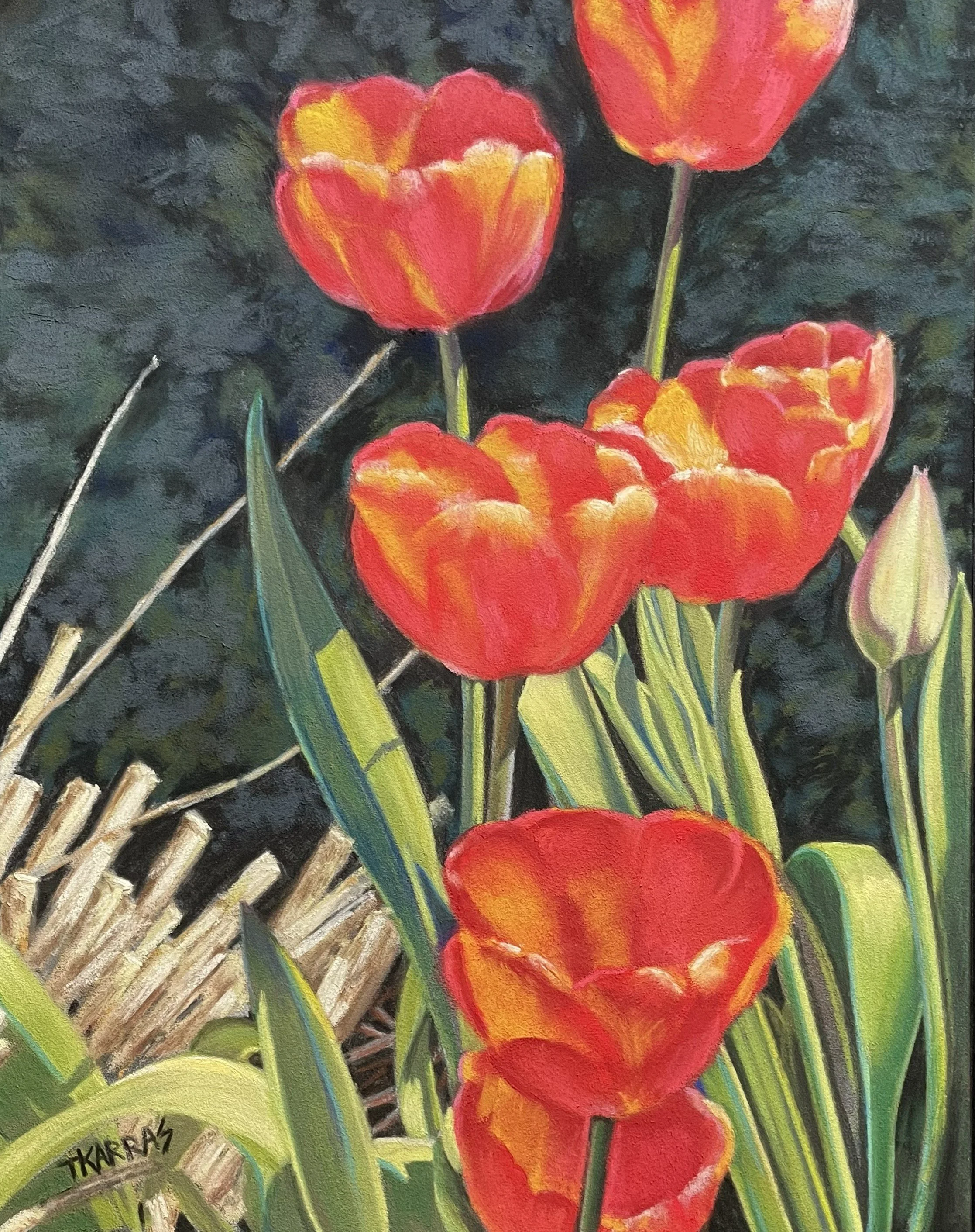 Tulip Envy 9x12 $300