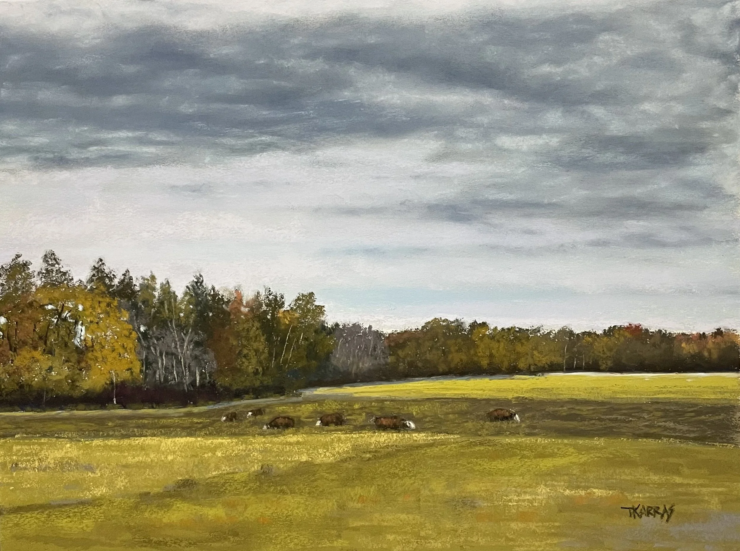 Grazing 9x12 $300