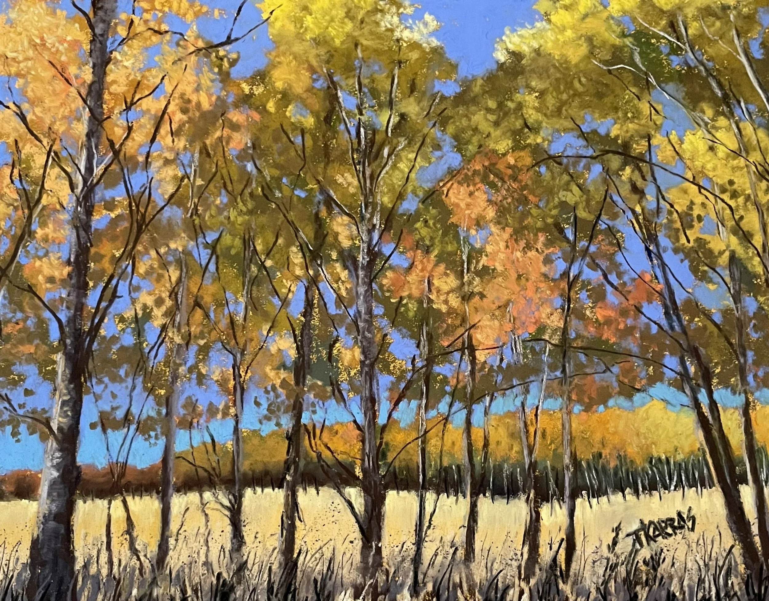 Henry's Fork 8x10 $185