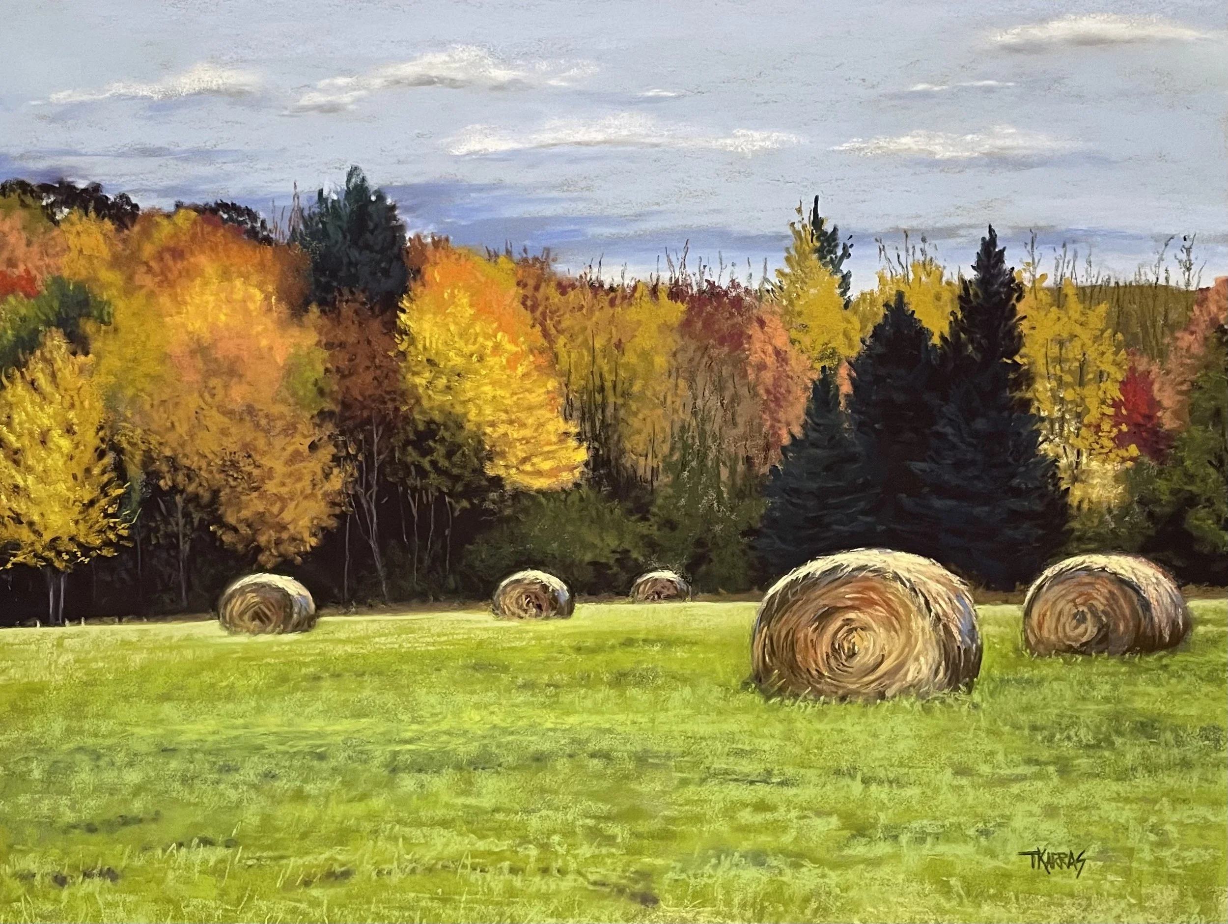 Hay Bales 11x14 $500