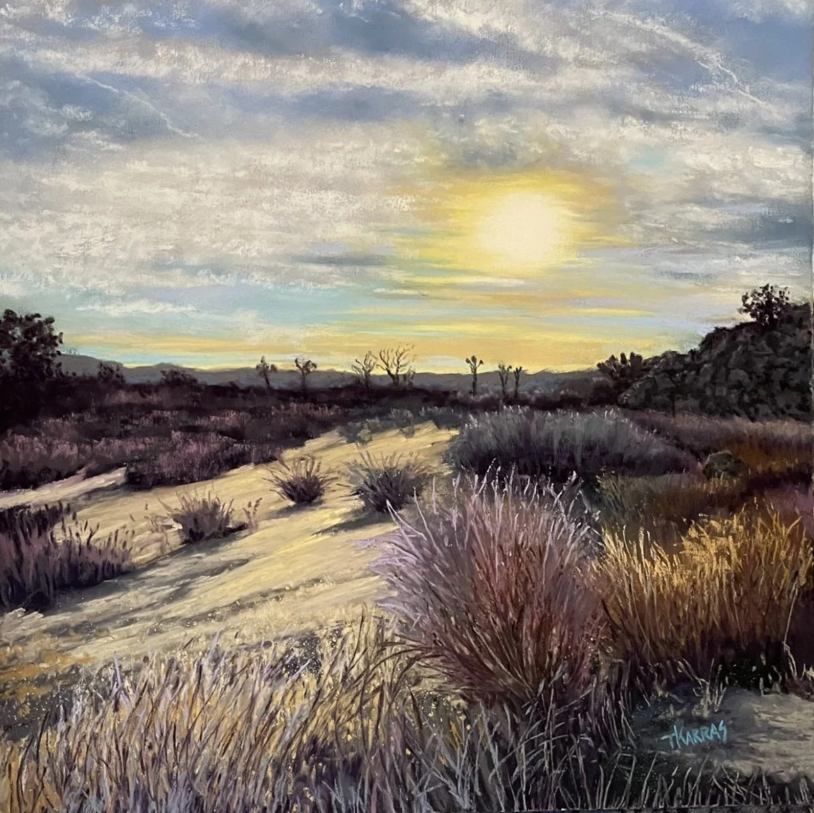 Joshua Tree 12x12 $475