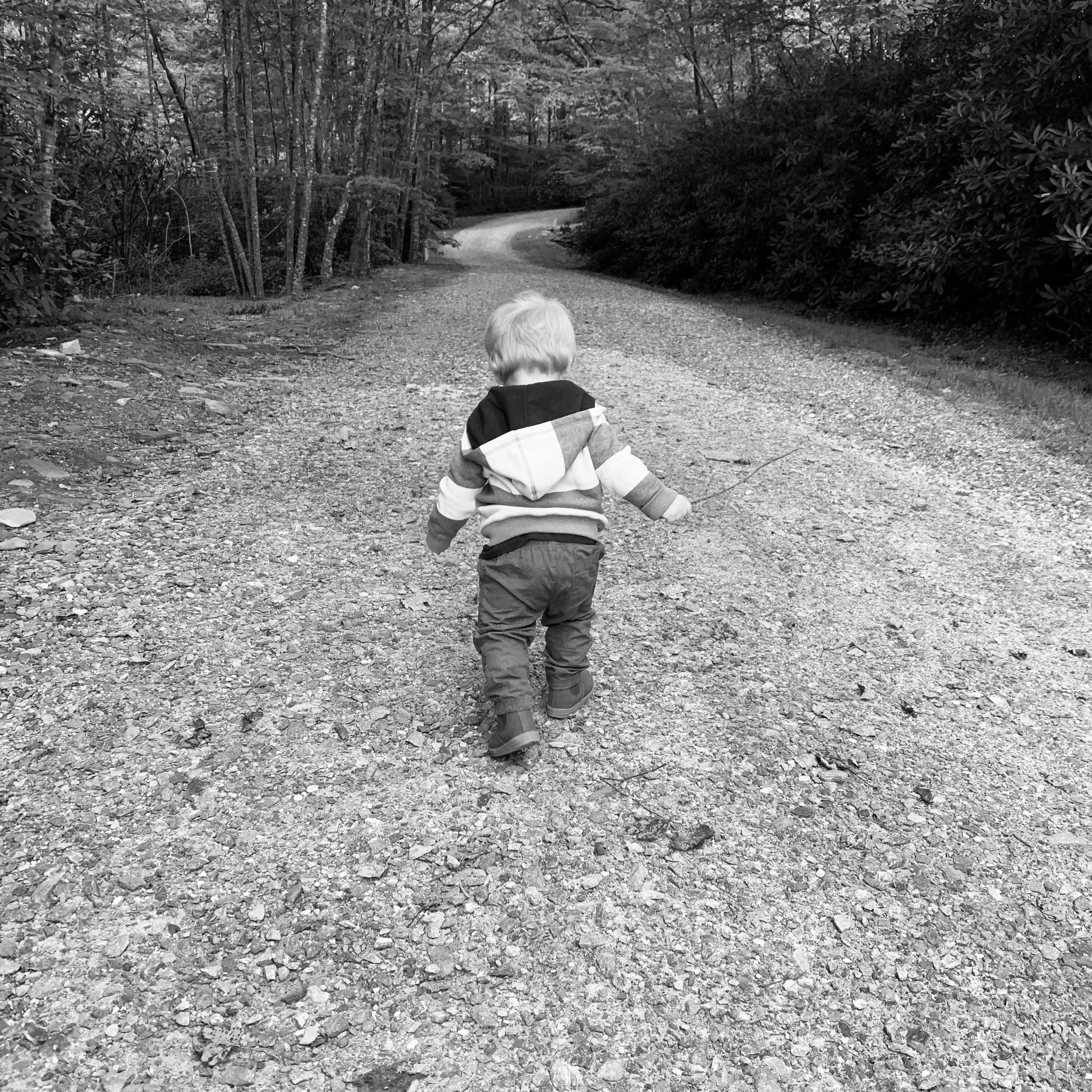 Photography Collection