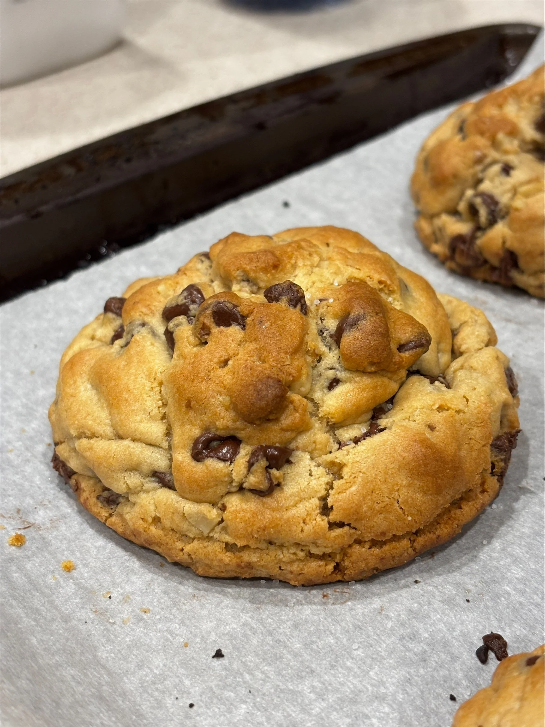 chocolate chip cookie from the side (recent).jpeg