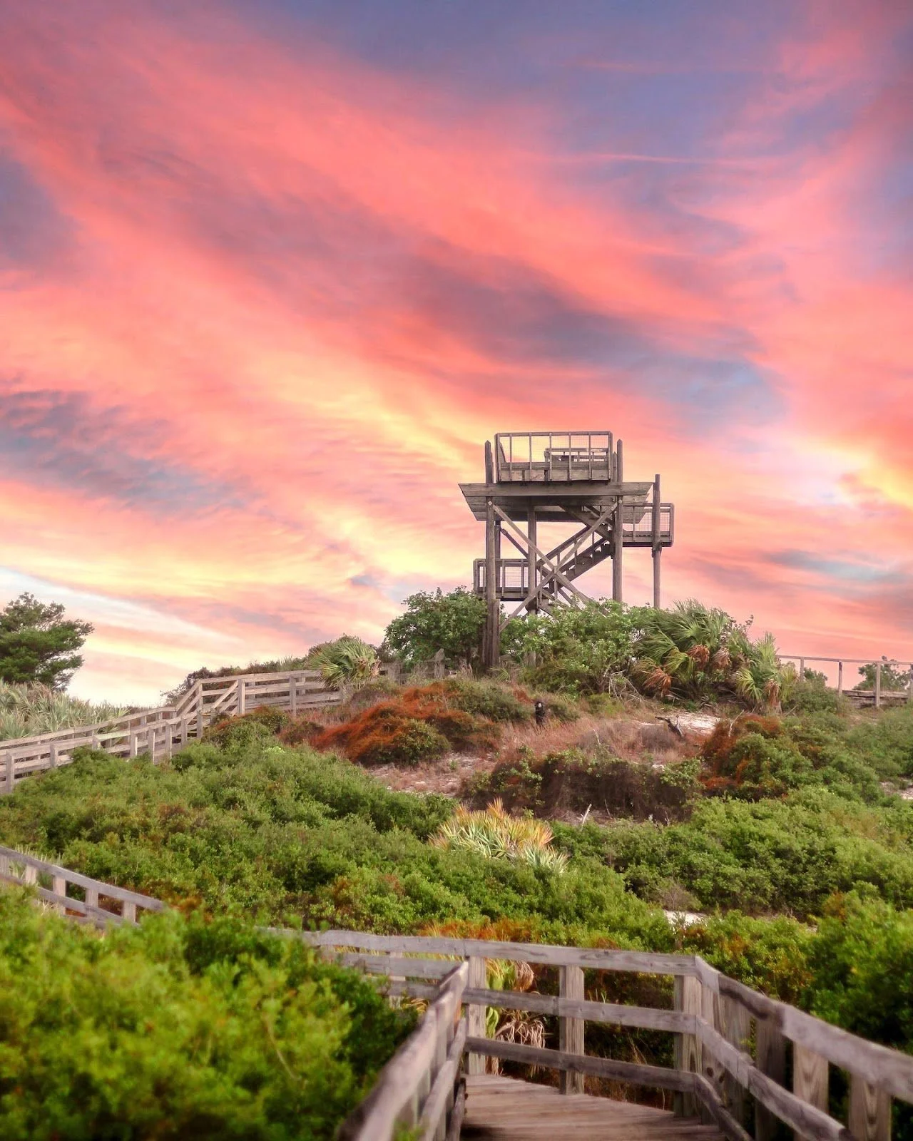 The Best Outdoor Shoot Locations in Palm Beach County for Kids and Families