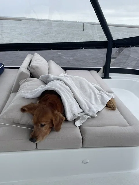 ANCHORING OUT-NOT FOR THE FAINT OF HEART