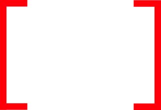 DVG Interactive