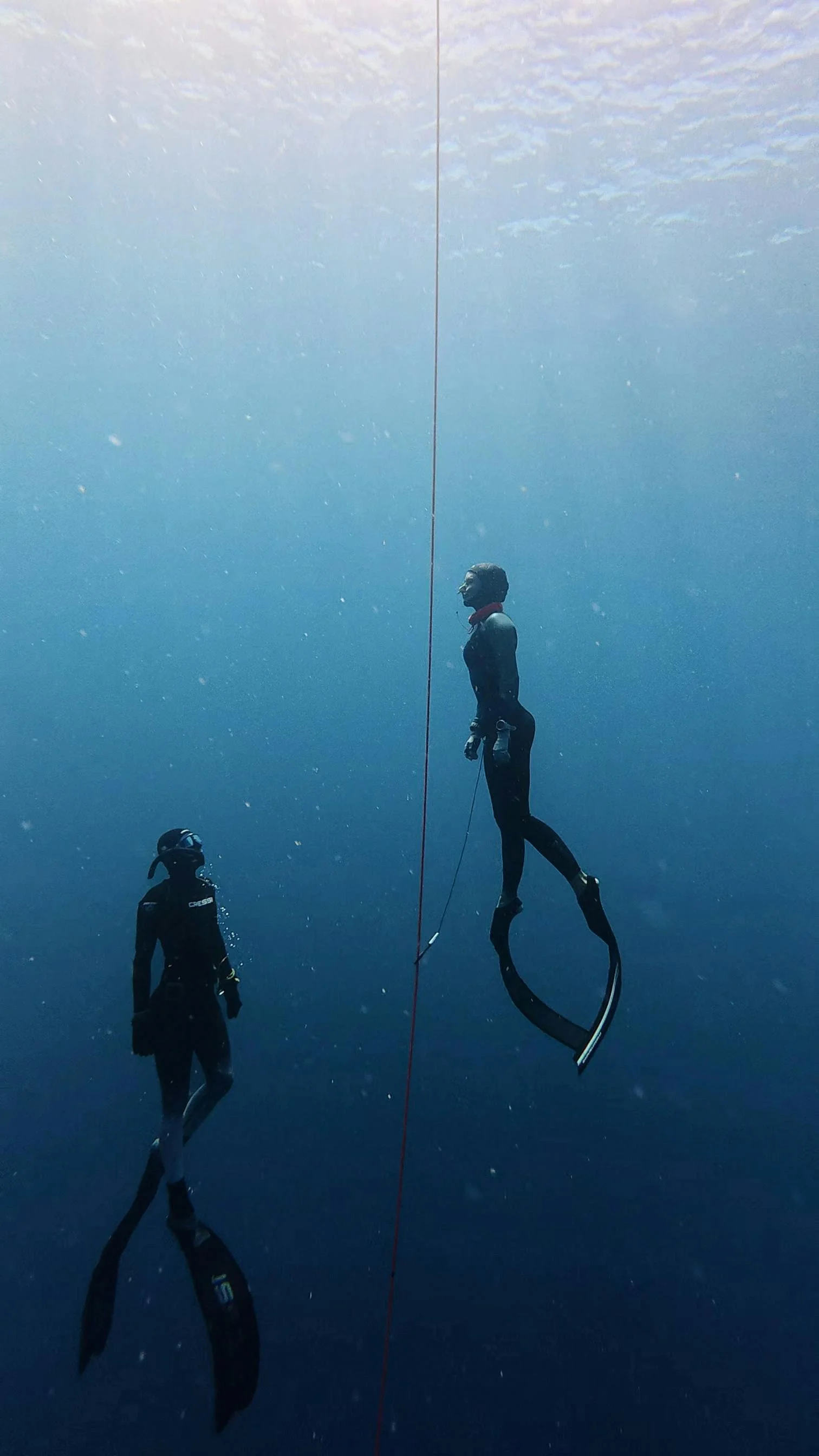 kassandra driezen systemisch inspirerend confronterend coach