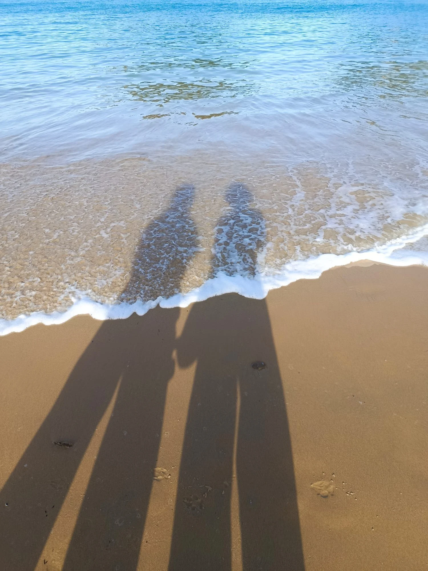 kassandra driezen organisatieontwikkeling procesbegeleiding interim management bedrijfsleiders leiders zaakvoerders teamcoaching individuele coaching