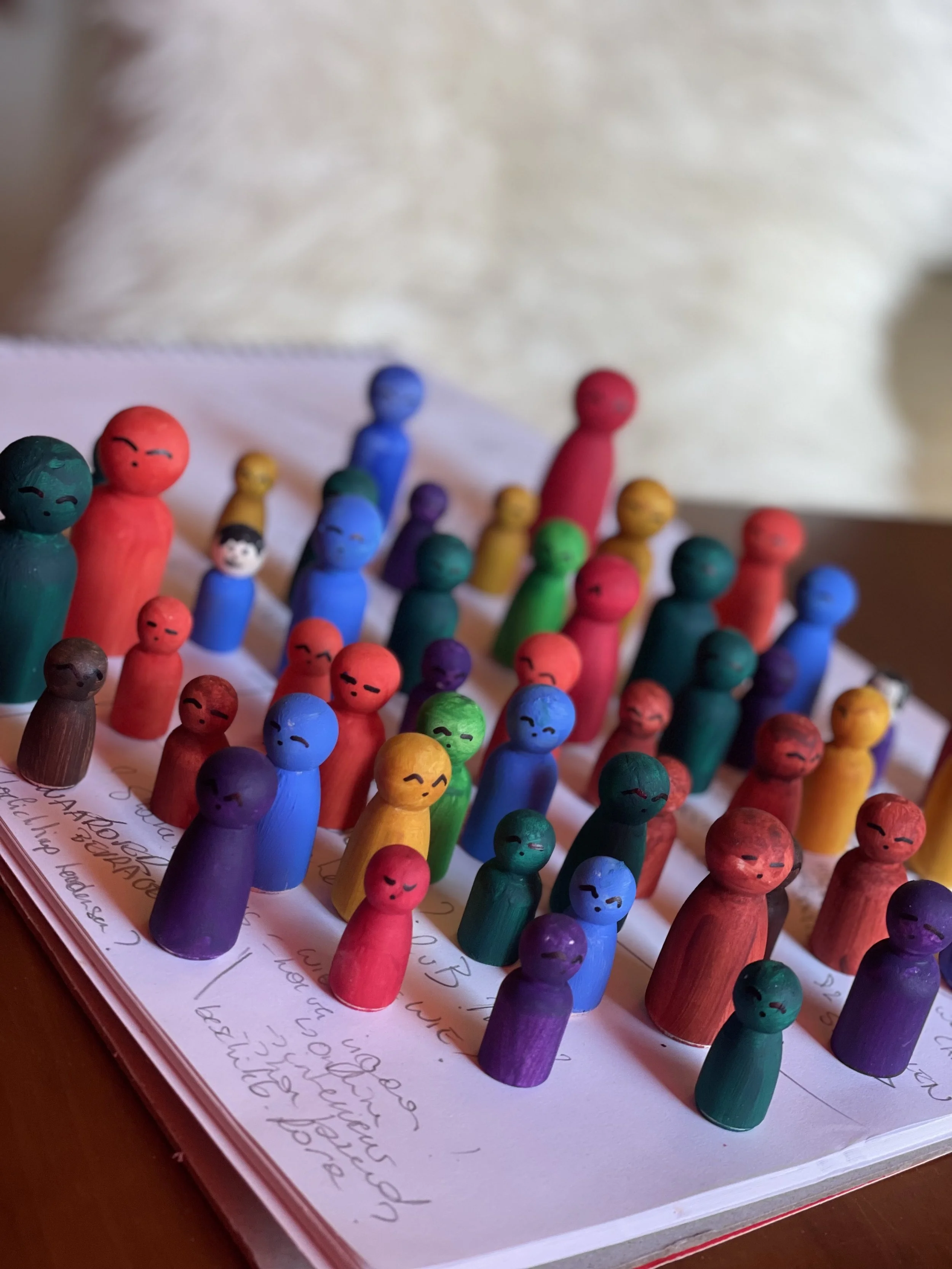 kassandra driezen organisatie systemisch teamcoach