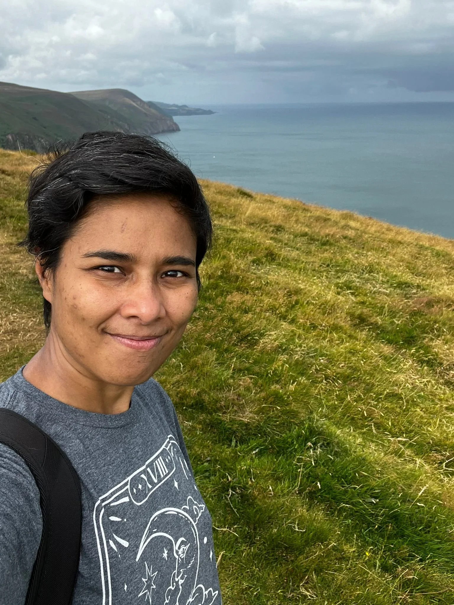 A person standing on a grassy hillside overlooking a coastal landscape with cliffs and the ocean under a cloudy sky.