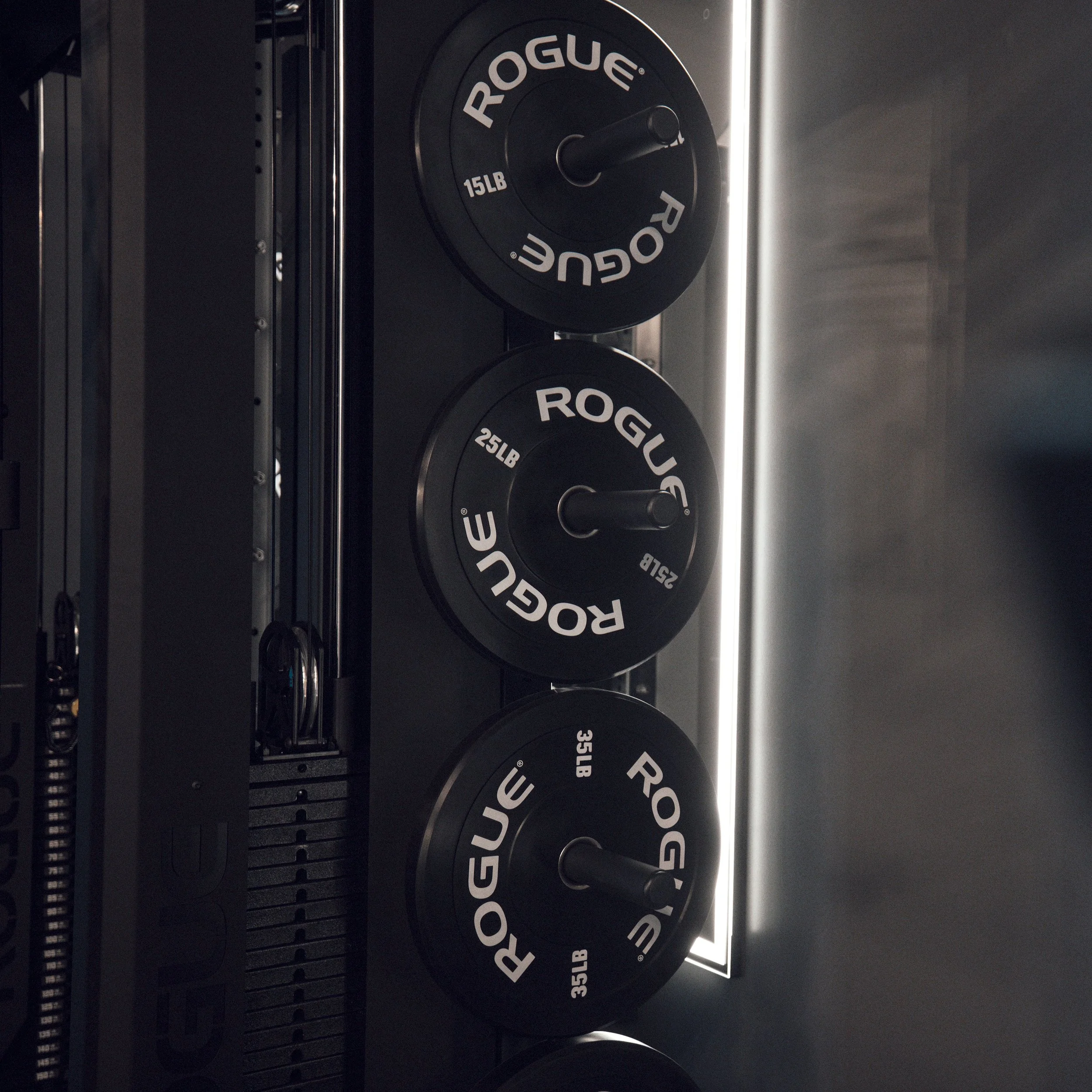 Rogue weights in a gym