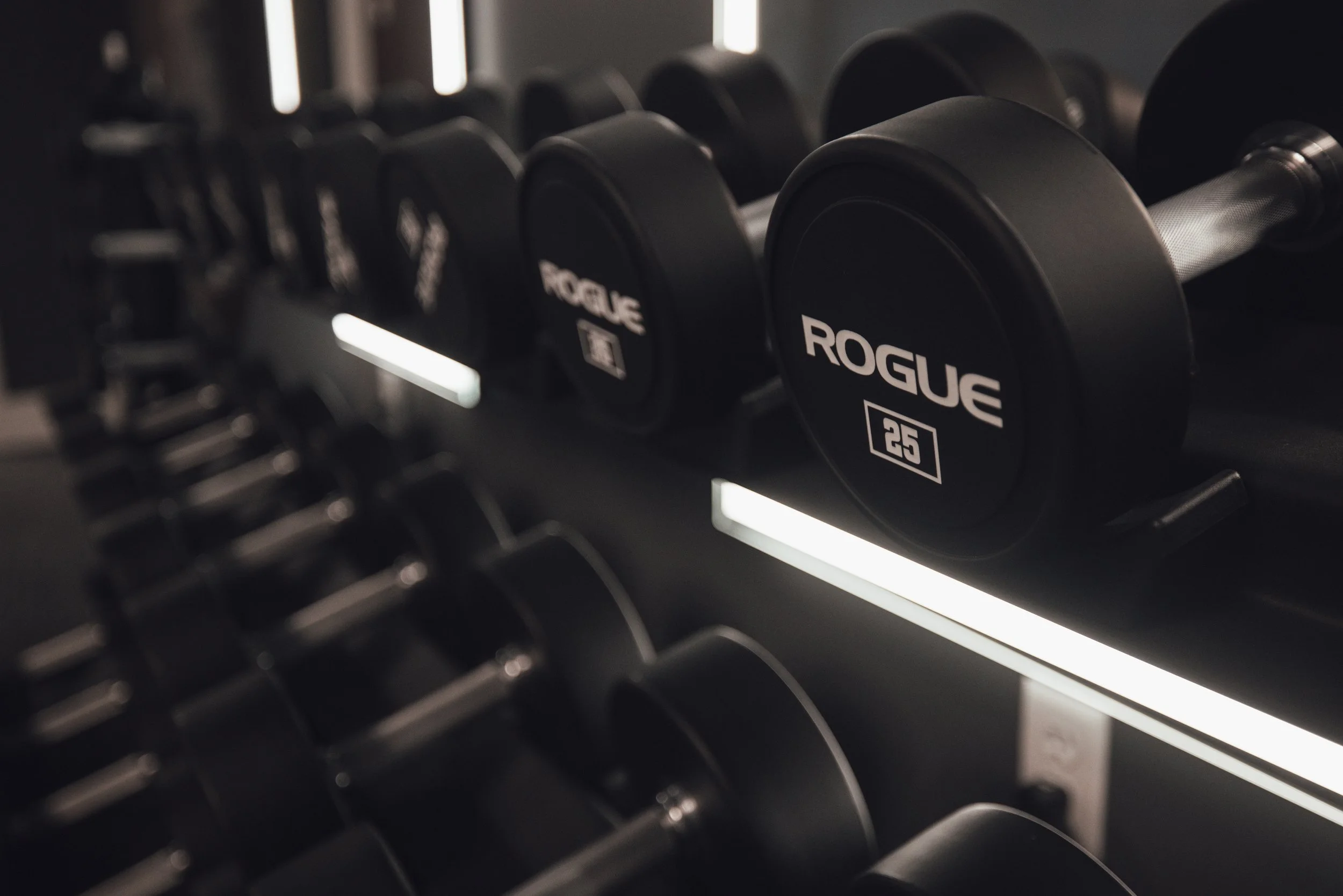 A rack of black dumbbells with the brand name 'Rogue' and weight '25' pounds visible on some of the dumbbells.