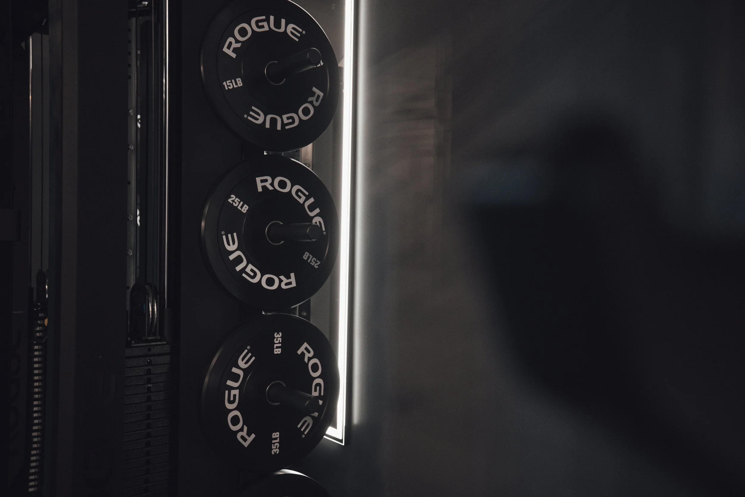 Black Rogue weight plates labeled 15 lb, 25 lb, and 35 lb on a vertical rack in a gym