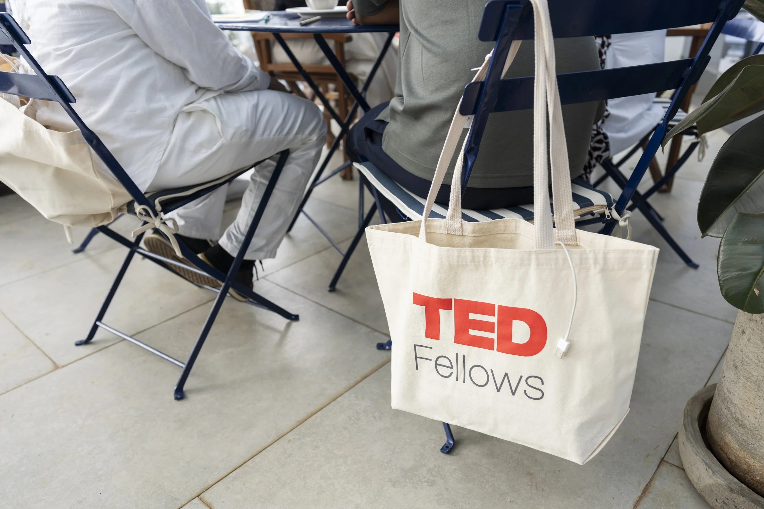 Photos: Callie Giovanna / TED