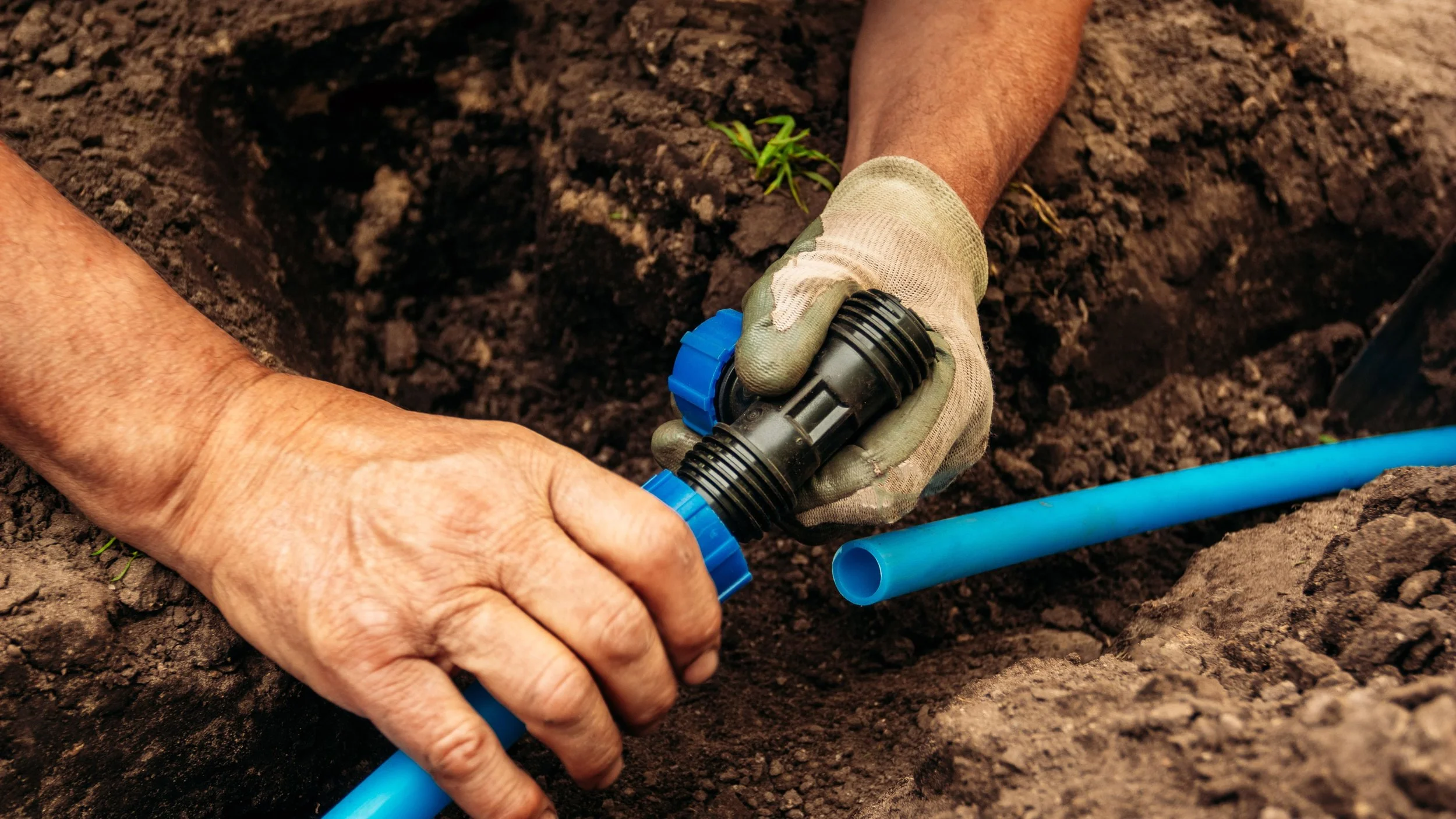 A person installing or repairing a blue plastic irrigation pipe in soil using a black and blue pipe fitting.