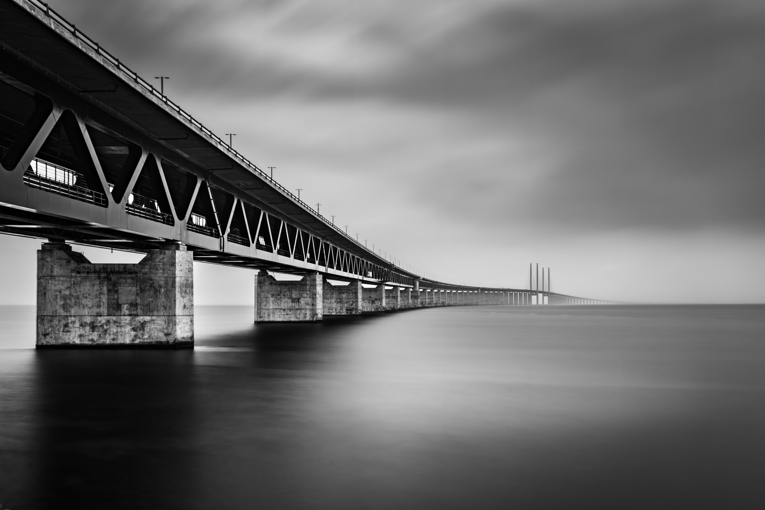 1X8A7184.jpg