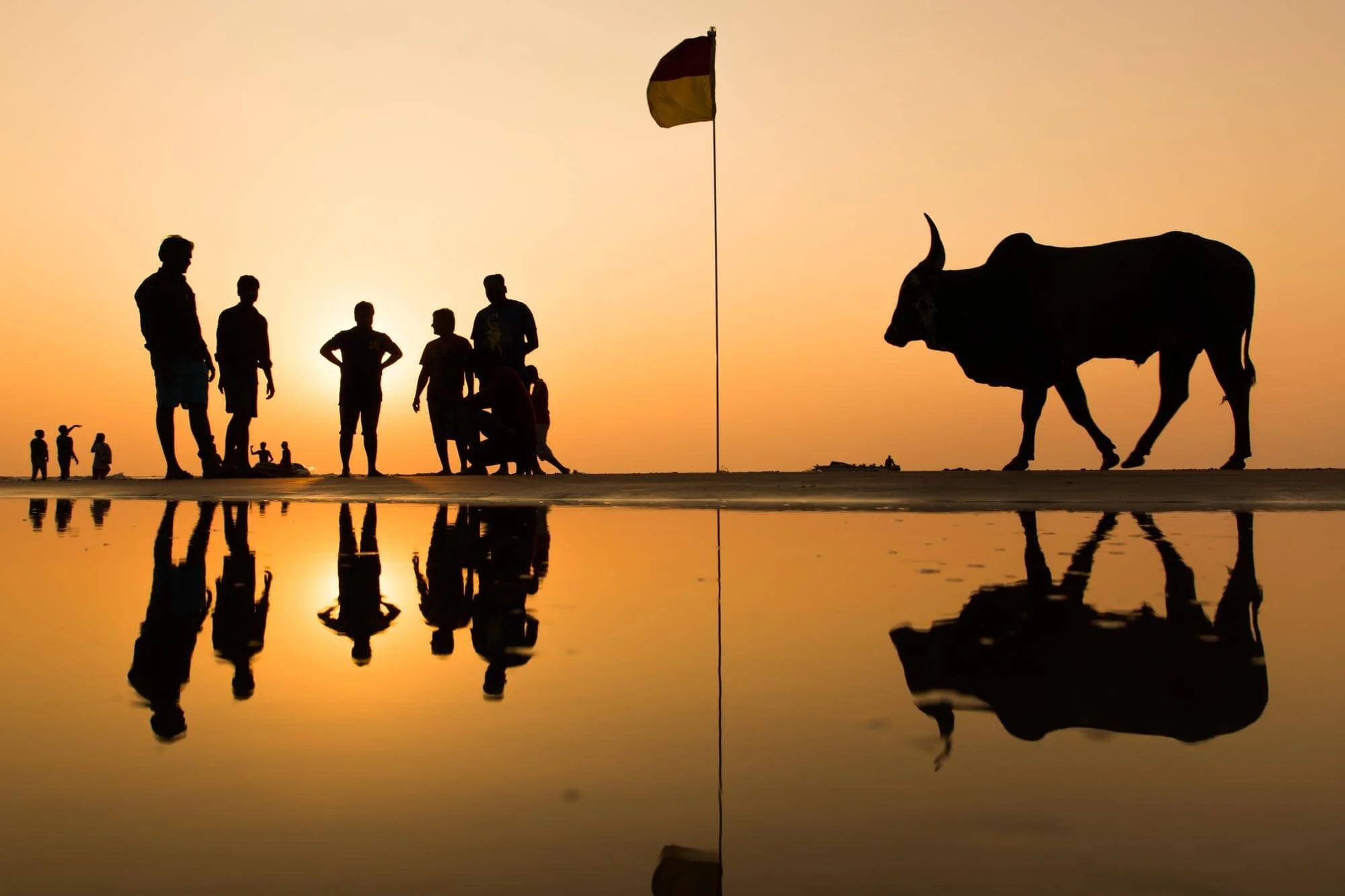Silhouettes of people, a buffalo, and a flag in front of a sunset, with their reflections on water.